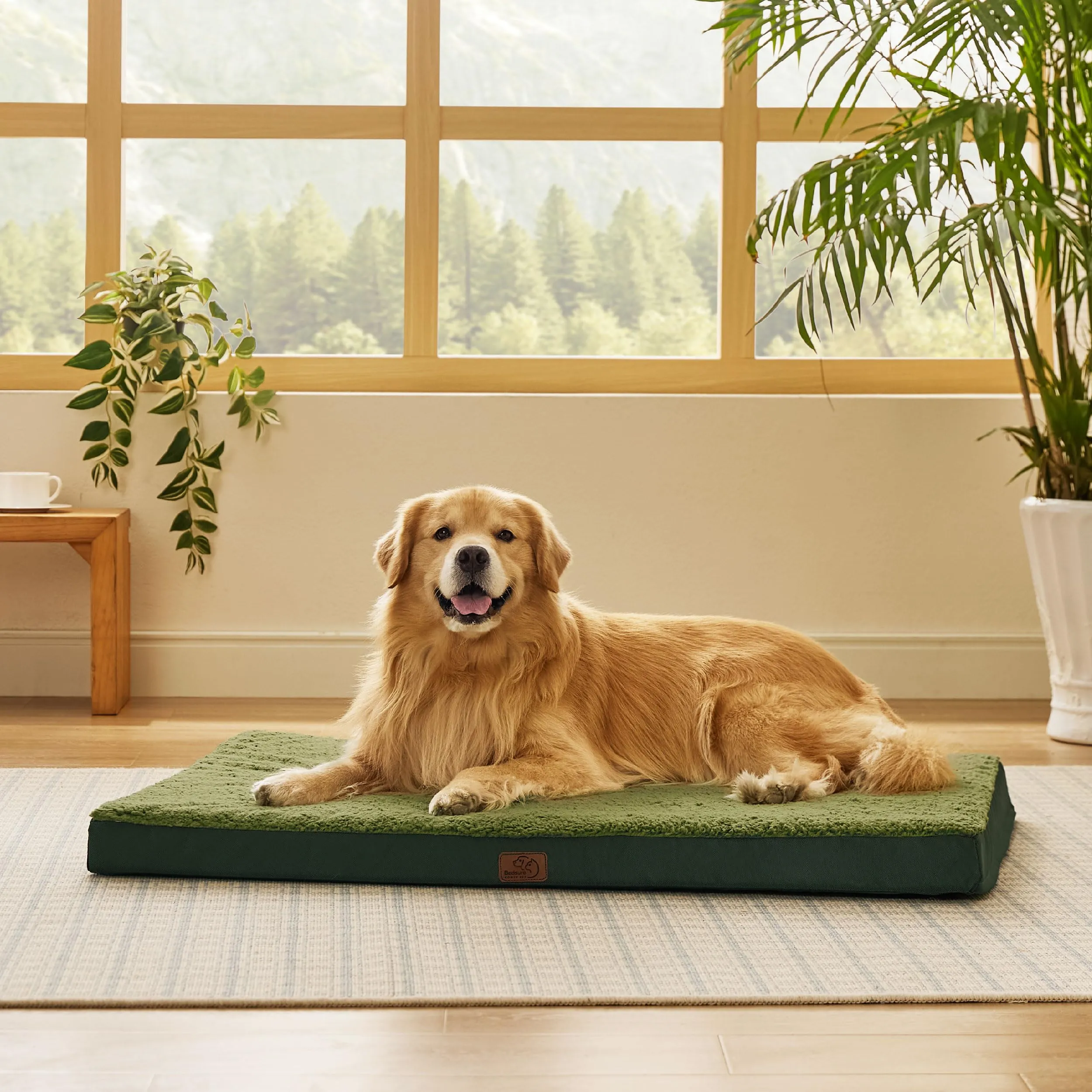 Bedsure Cuccia Cane Sfoderabile Lavabile, 112x81 cm, Verde - immagine 6