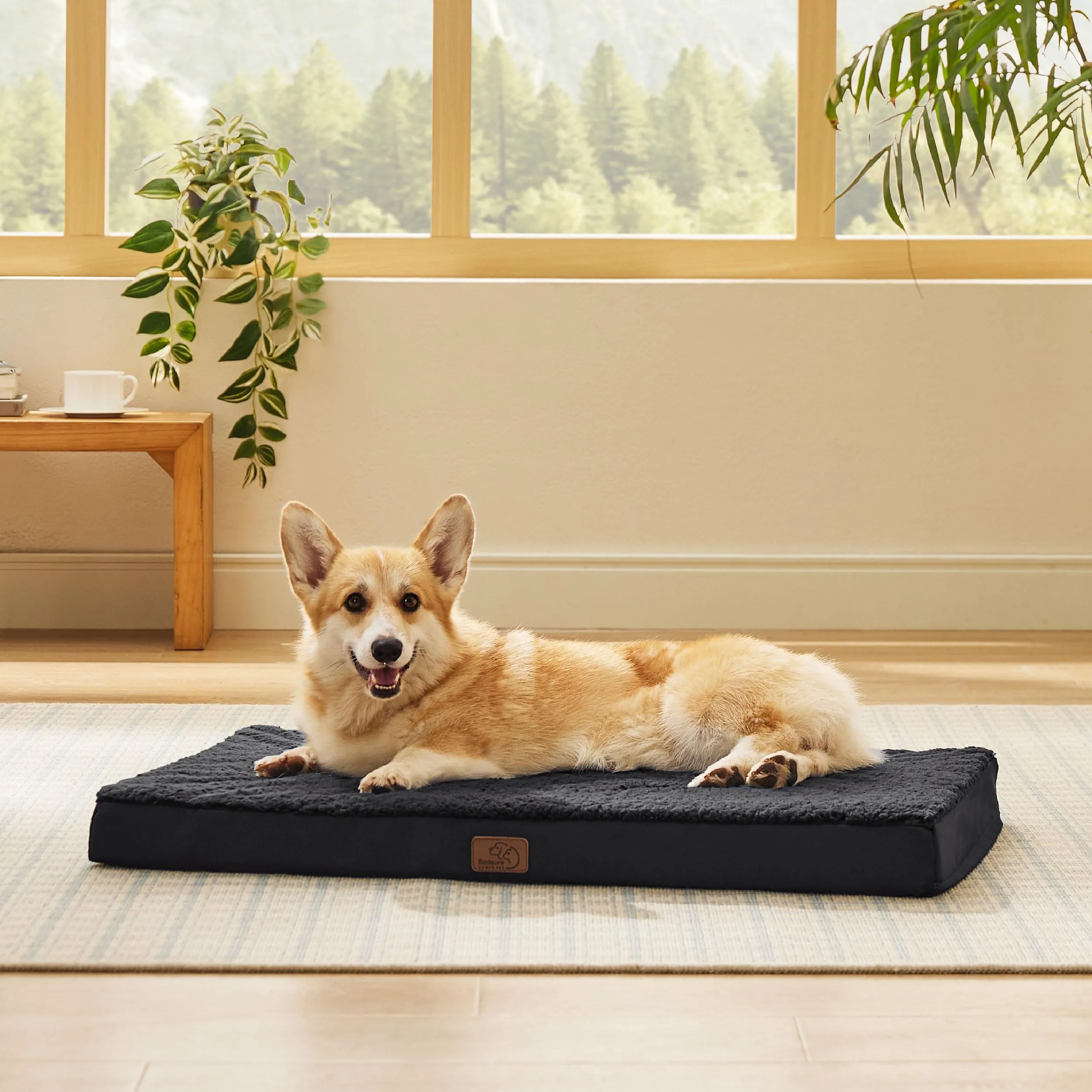 Bedsure Cuccia Cane Sfoderabile e Lavabile, 89x56 cm, Nero - immagine 6