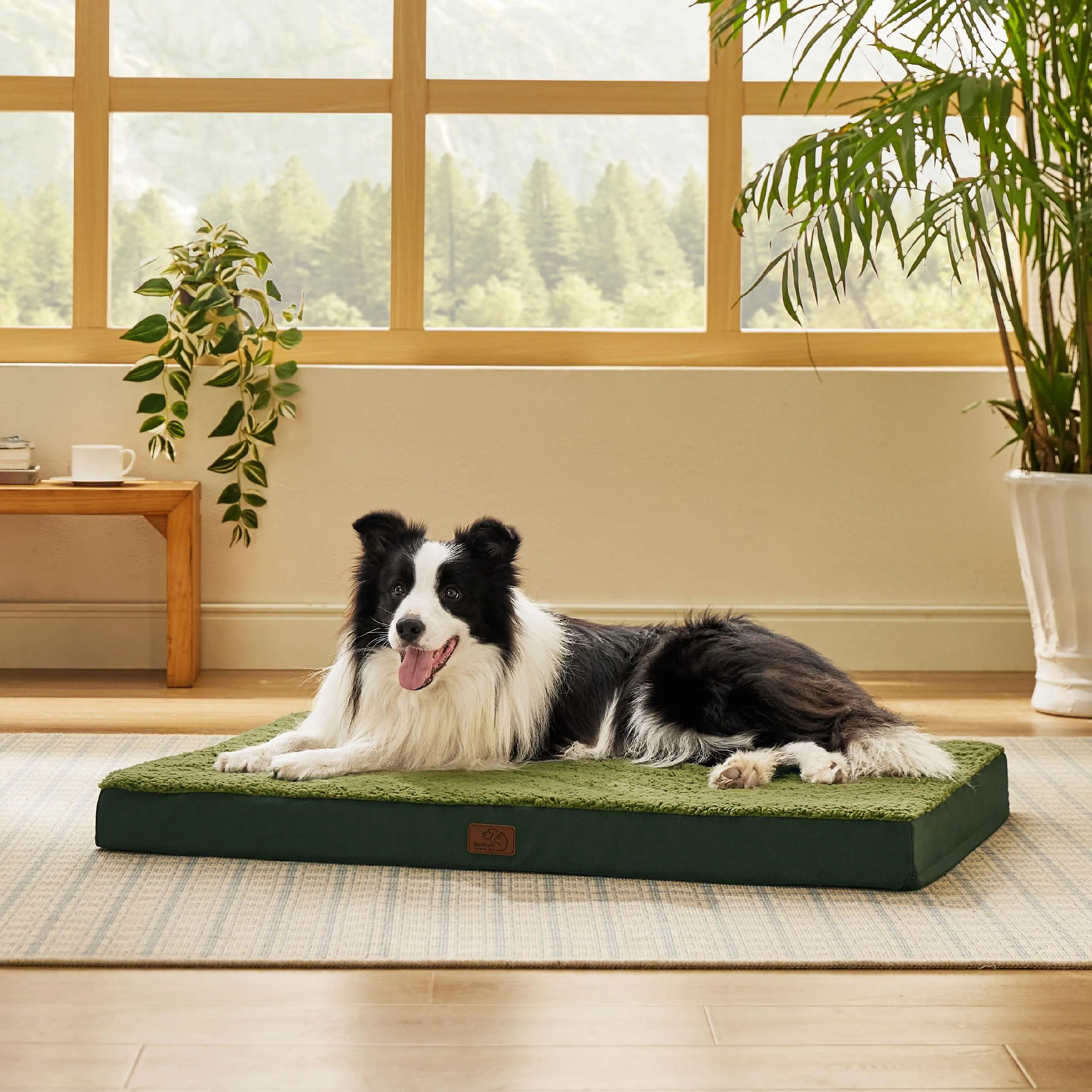 Bedsure Cuccia Cane Sfoderabile e Lavabile, 91x69 cm, Verde - immagine 7
