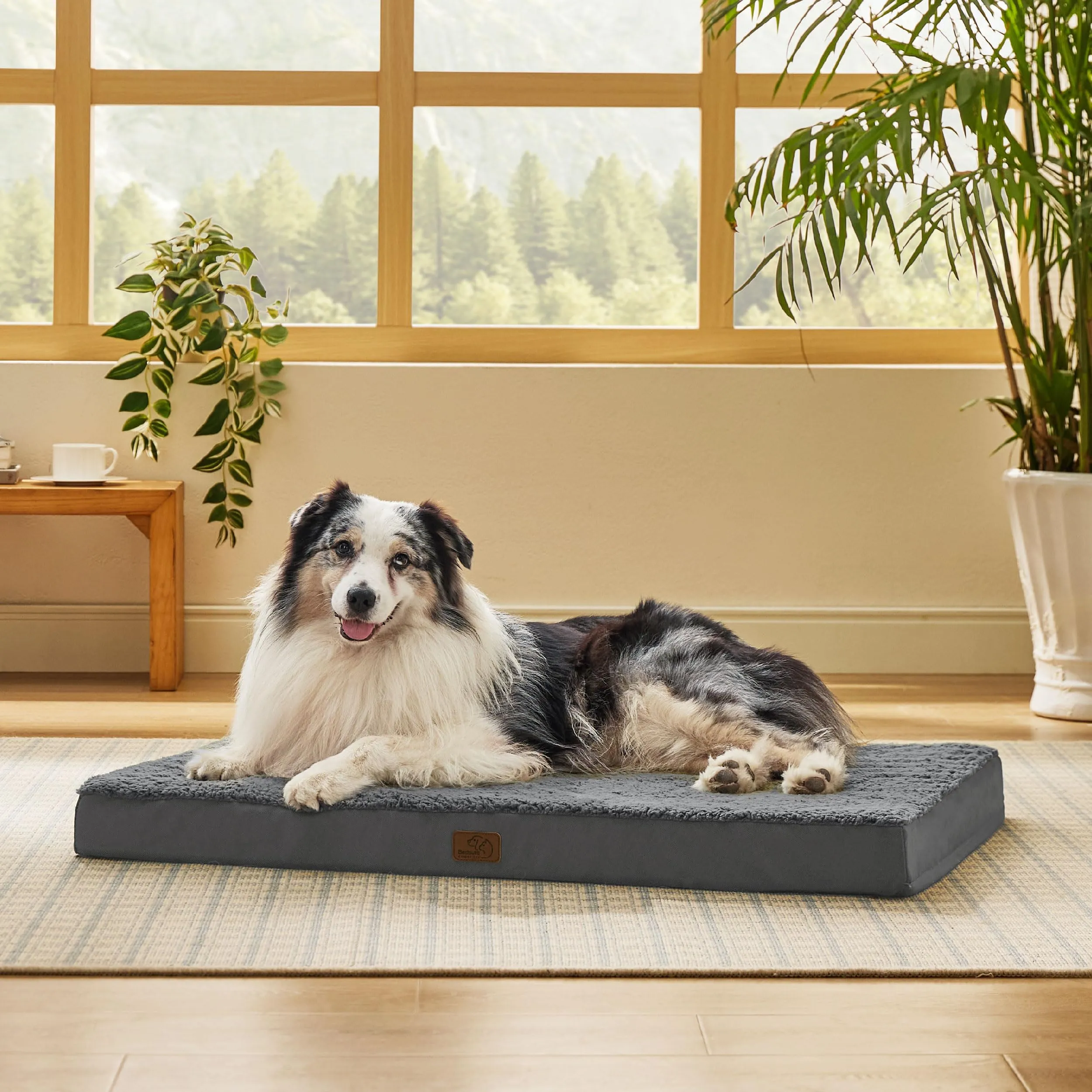 Bedsure Cuccia Cane Sfoderabile Lavabile, 104x74x9 cm, Grigio - immagine 5
