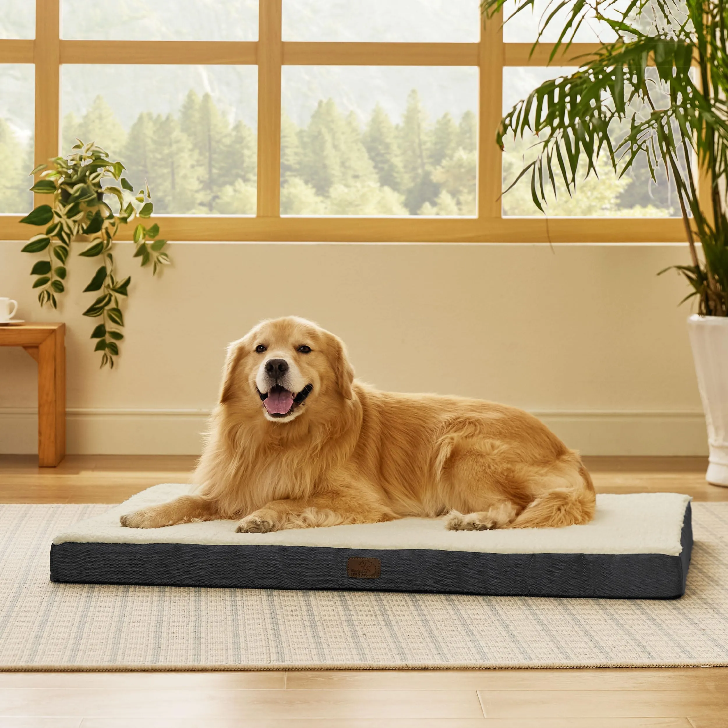 Bedsure Cuscino per Cane Grande, Sfoderabile e Lavabile, 112x81x7,6 cm, Bianco - immagine 6