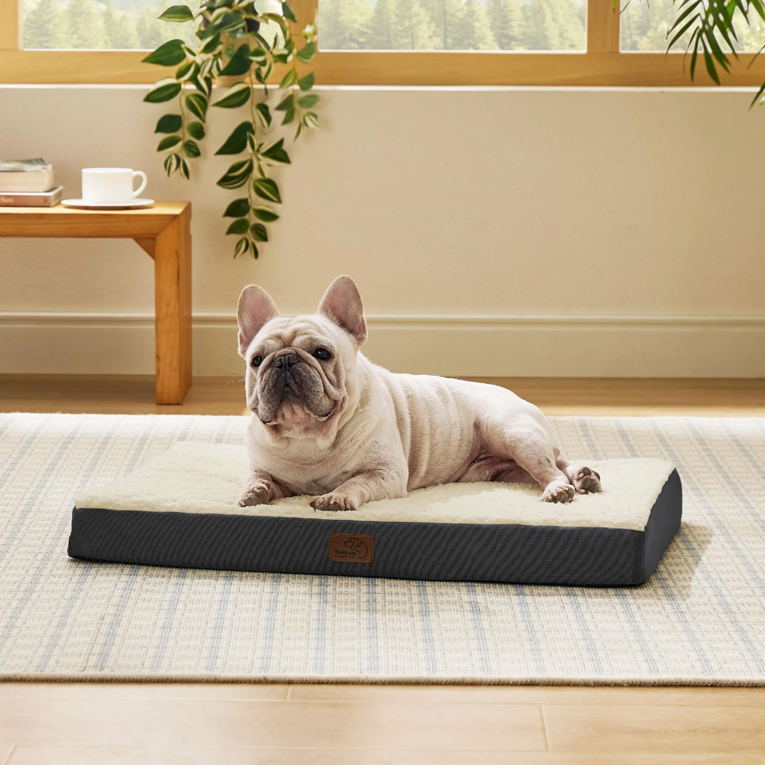 Bedsure Cuscino per Cane Medio, Sfoderabile e Lavabile, 76x51x7,6 cm, Bianco - immagine 6