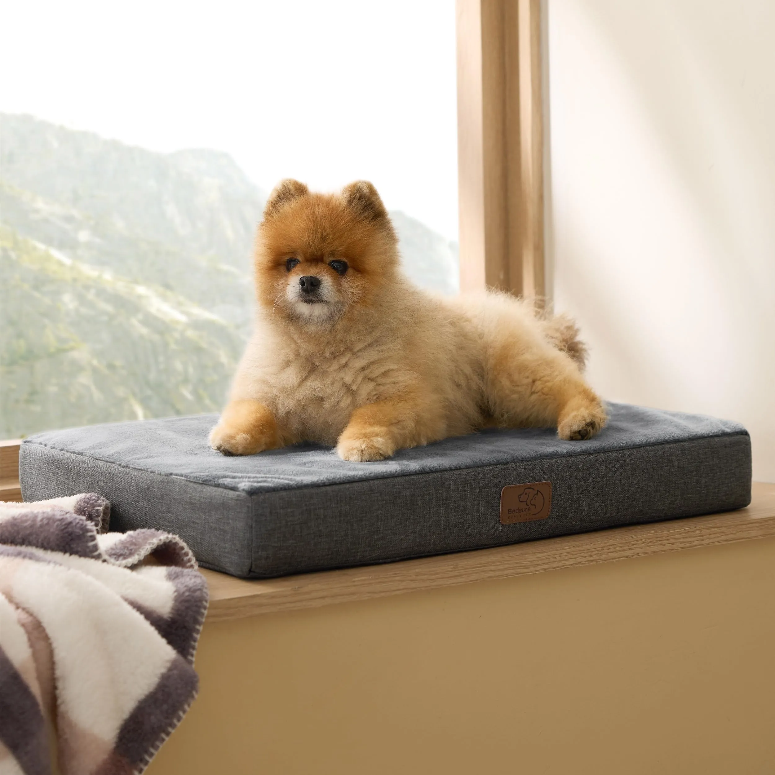 Bedsure Cuscino Per Cani Ortopedico in Memory Foam, 61x41 cm, Grigio - immagine 2
