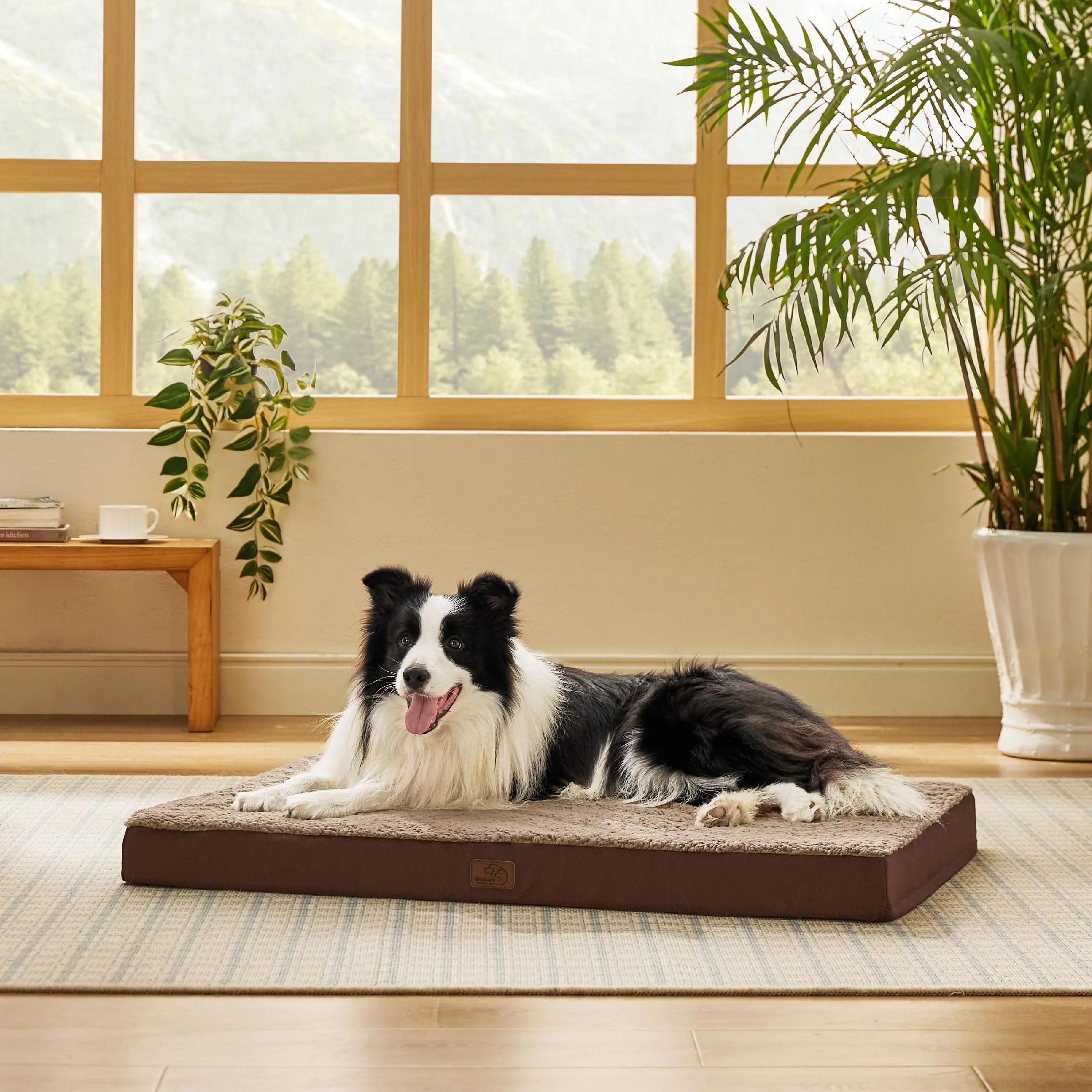 Bedsure Cuccia Cane Sfoderabile e Lavabile, 91x69 cm, Marrone - immagine 3