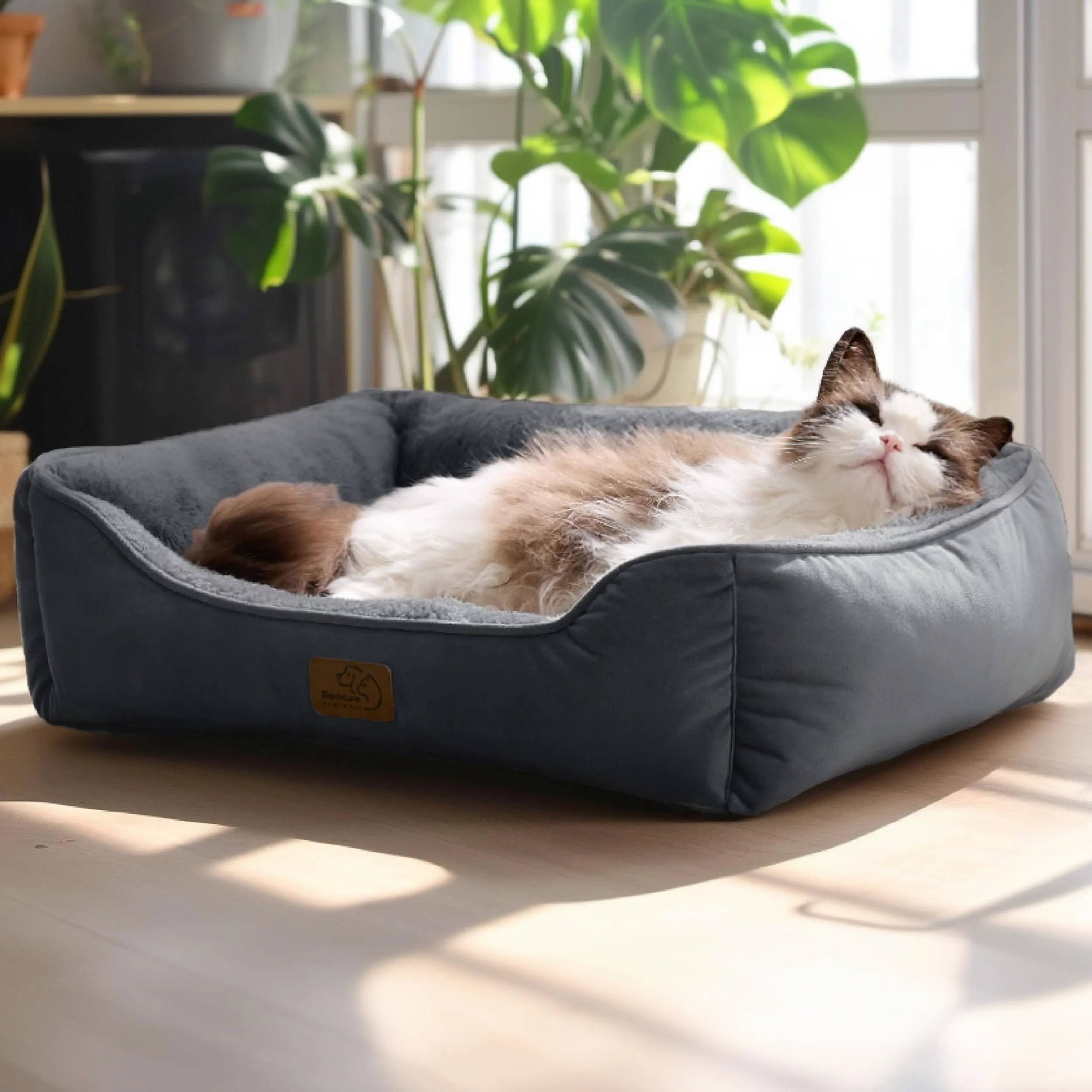 Bedsure Cuccia Rettangolare per Cani e Gatti, 51x41 cm, Lavabile con Fondo Antiscivolo, Grigio scuro - immagine 9