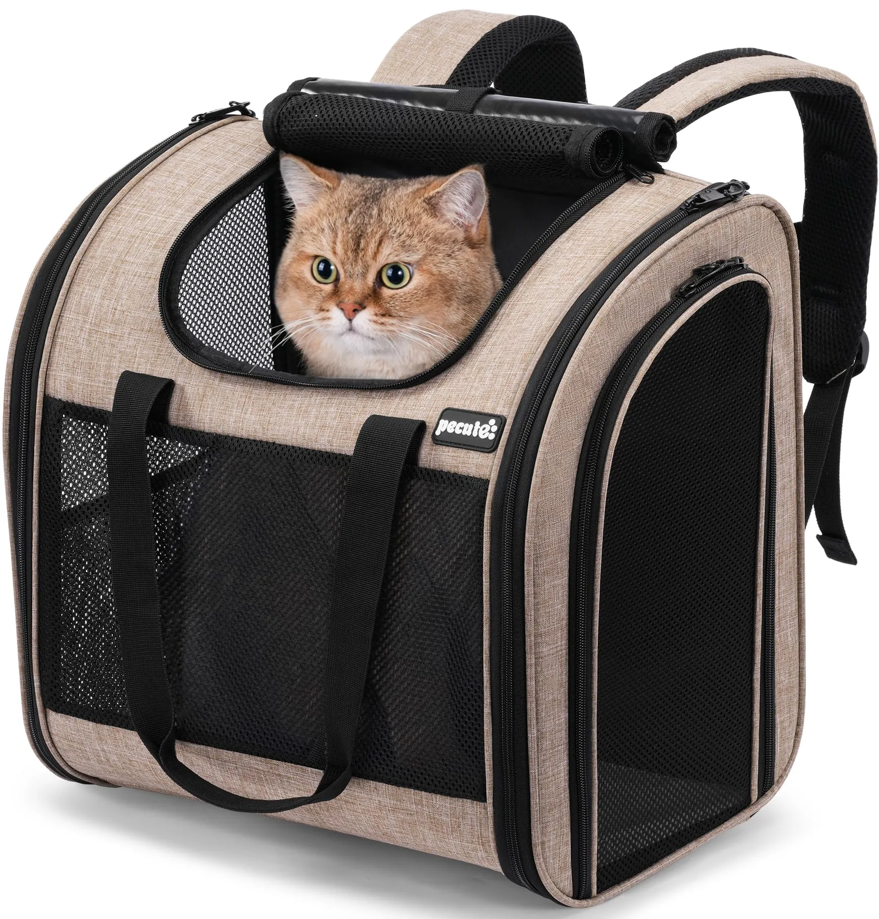 Pecute Zaino per Gatti e Cuccioli, Design Ventilato e Pieghevole, con Cinghia di Sicurezza, Cachi - immagine 1