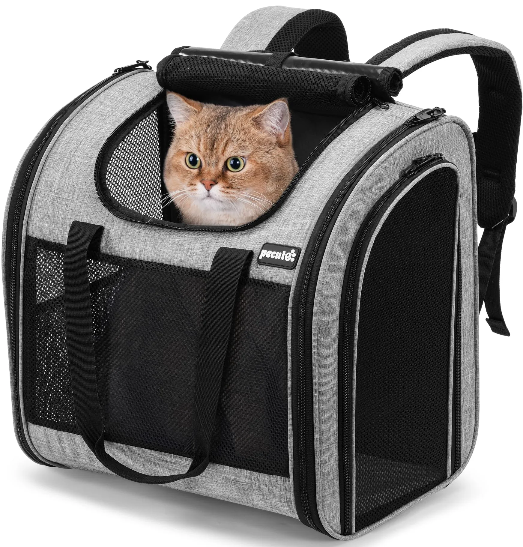 Pecute Zaino per Gatti e Cuccioli Pieghevole, Design Ventilato con Cinghia di Sicurezza, Grigio - immagine 1