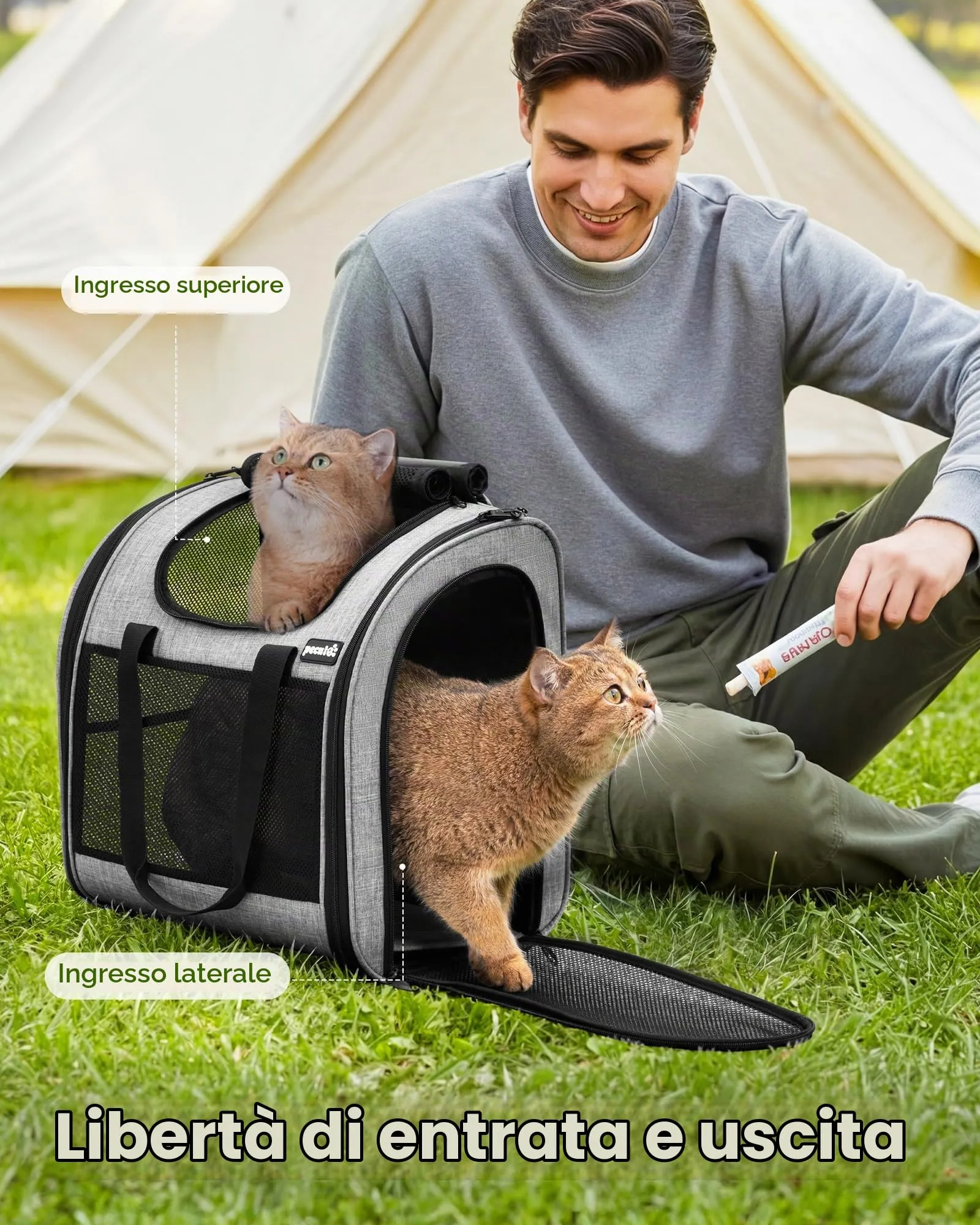Pecute Zaino per Gatti e Cuccioli Pieghevole, Design Ventilato con Cinghia di Sicurezza, Grigio - immagine 6