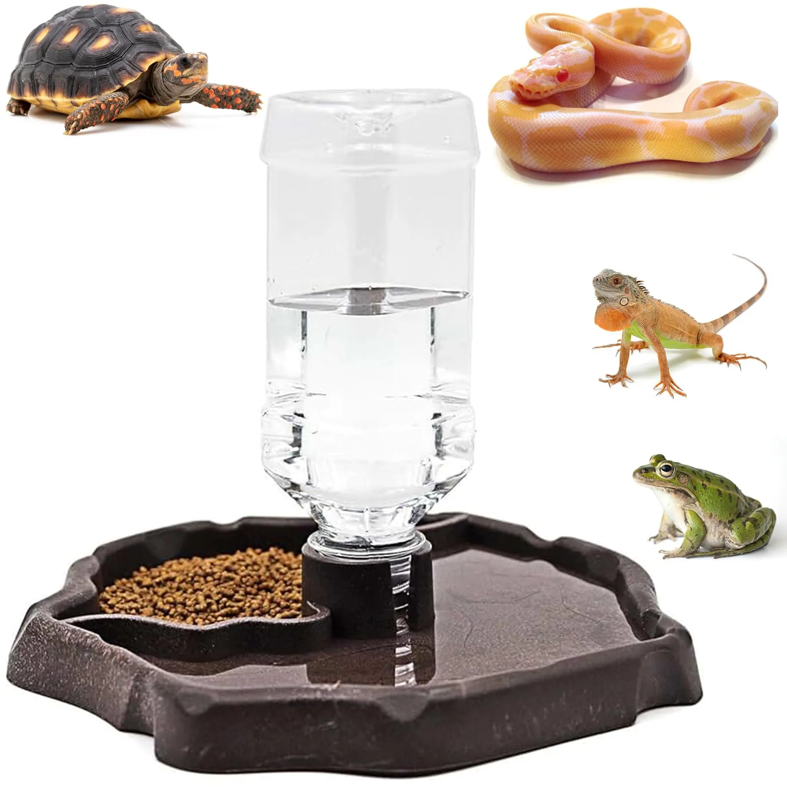 Cherioll Distributore di Acqua e Cibo 2 in 1 per Rettili e Tartarughe - immagine 1