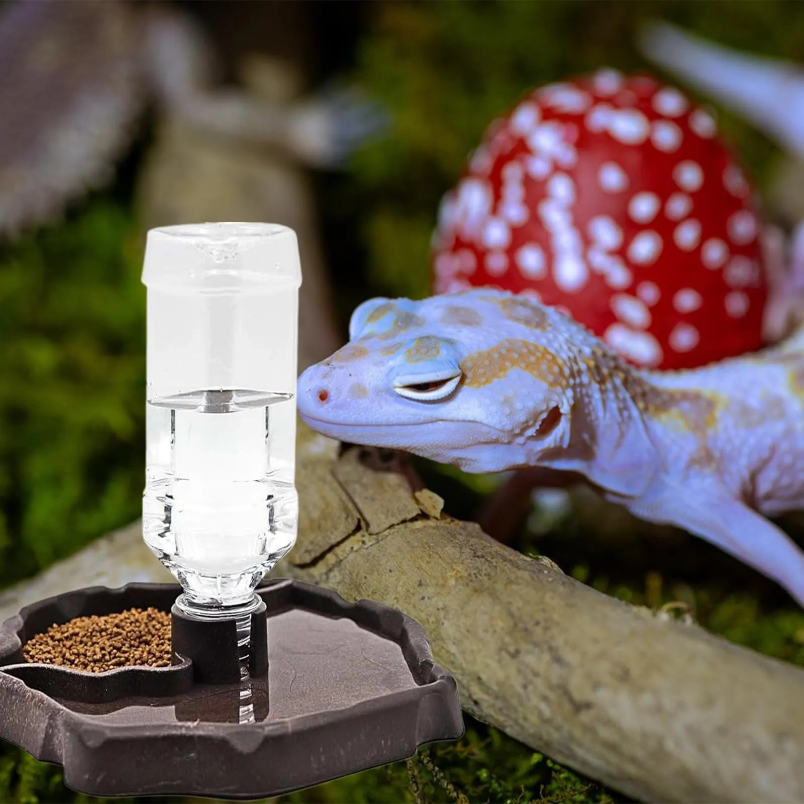 Cherioll Distributore di Acqua e Cibo 2 in 1 per Rettili e Tartarughe - immagine 5
