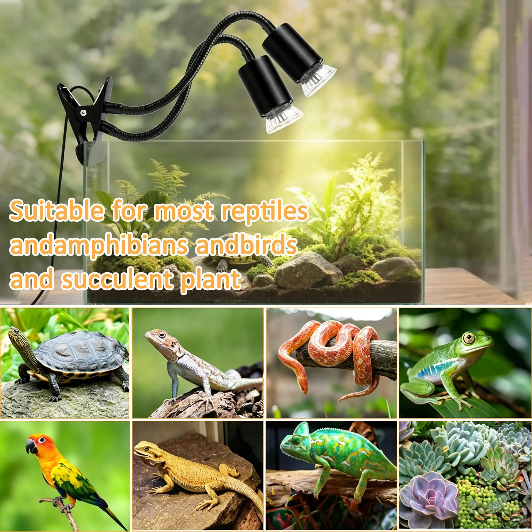 Frogetu Lampada Riscaldante UVA UVB a Due Teste con Timer, Lampadine 25W+50W Regolabili a 360° per Tartarughe, Rettili e Anfibi - immagine 6