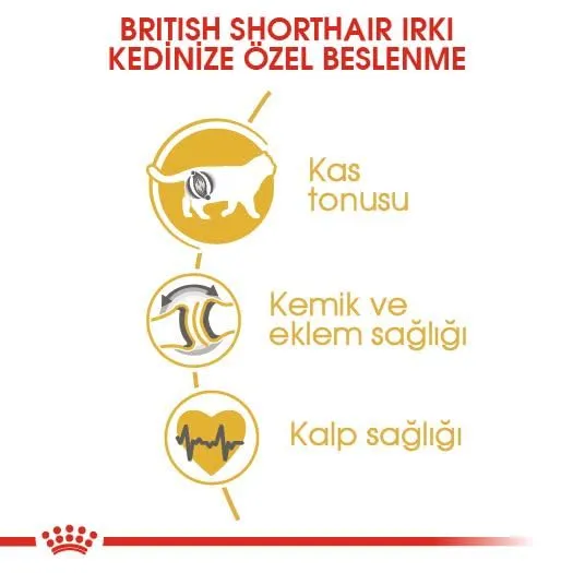 Royal Canin British Shorthair Adult 4 kg - immagine 4