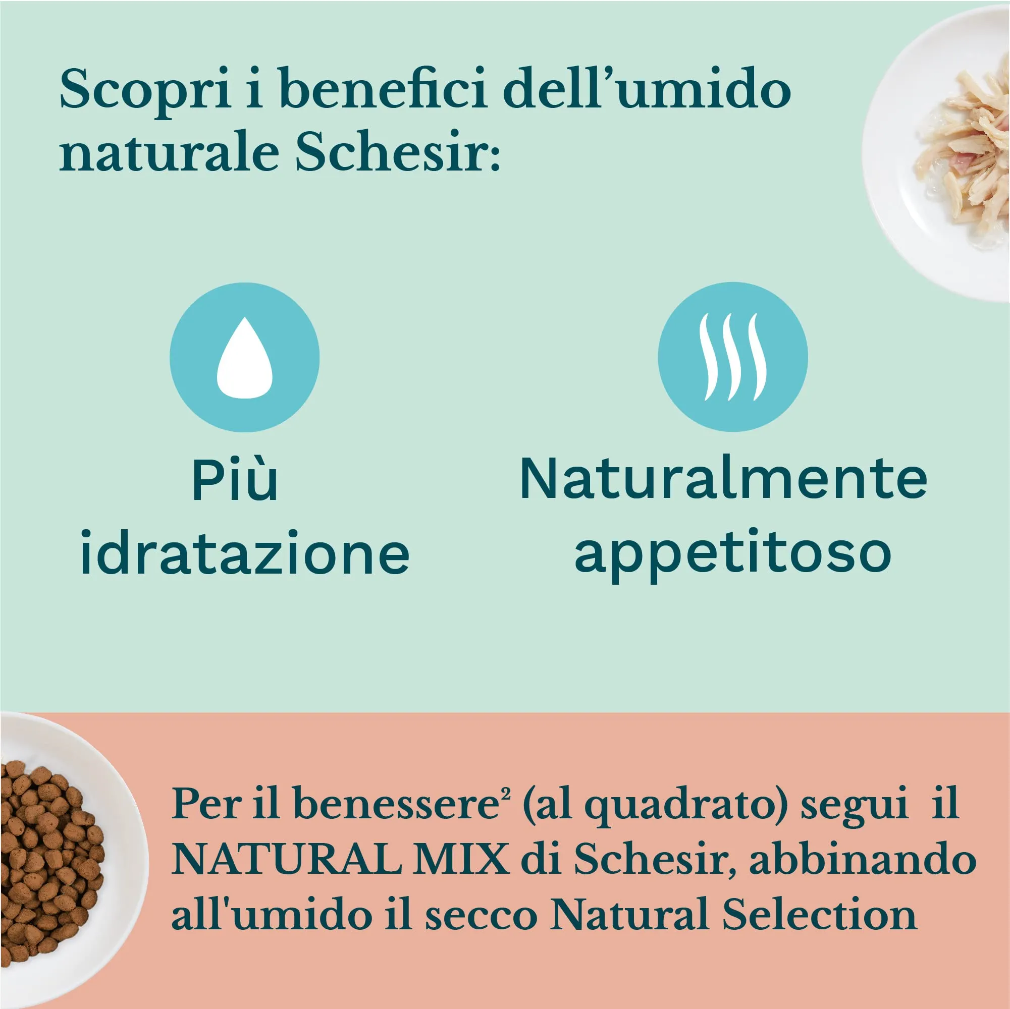 Schesir Cibo Umido per Gattini Kitten al Gusto Tonnetto con Aloe in Gelatina, 24 x 140g - immagine 7