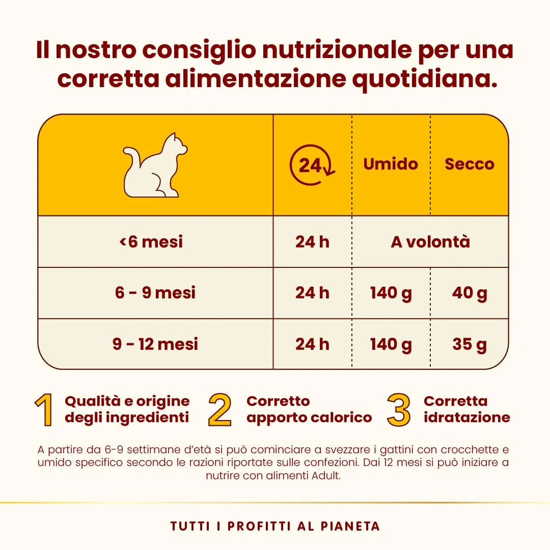 Almo Nature HFC Kitten Alimento Umido per Gattini Salmone e Tonno 1.68 kg (24 x 70 g) - immagine 5