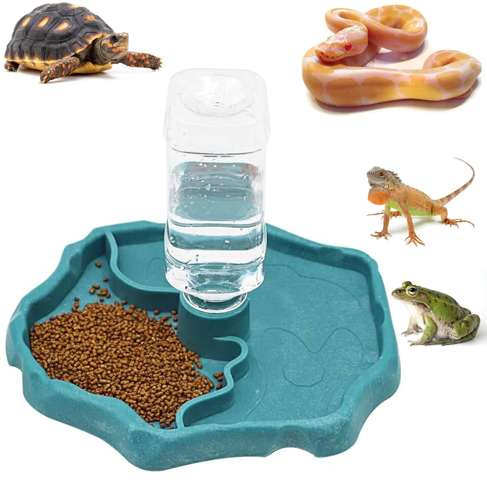 Cherioll Distributore di Acqua e Cibo 2 in 1 per Rettili e Tartarughe - immagine 1