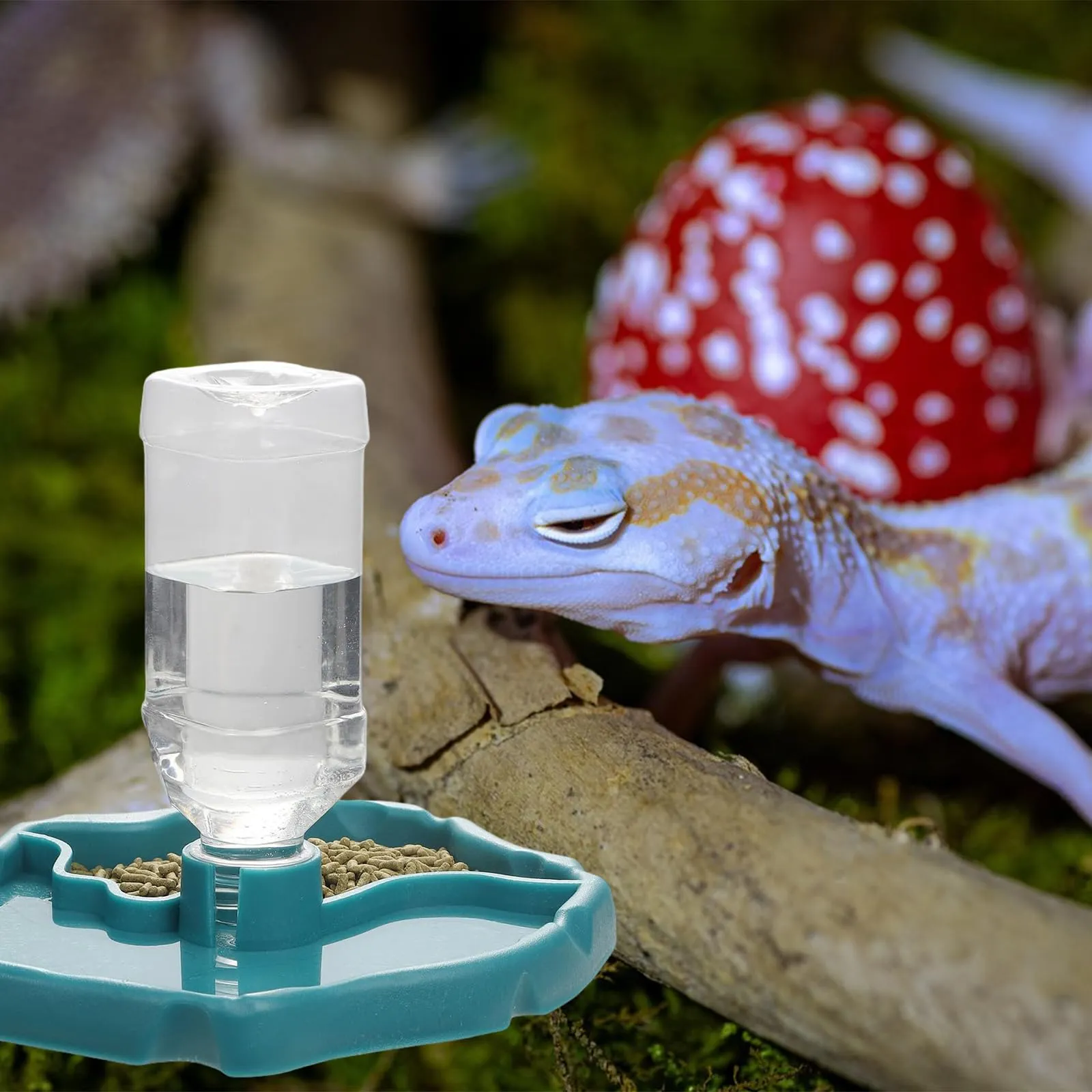 Cherioll Distributore di Acqua e Cibo 2 in 1 per Rettili e Tartarughe - immagine 4