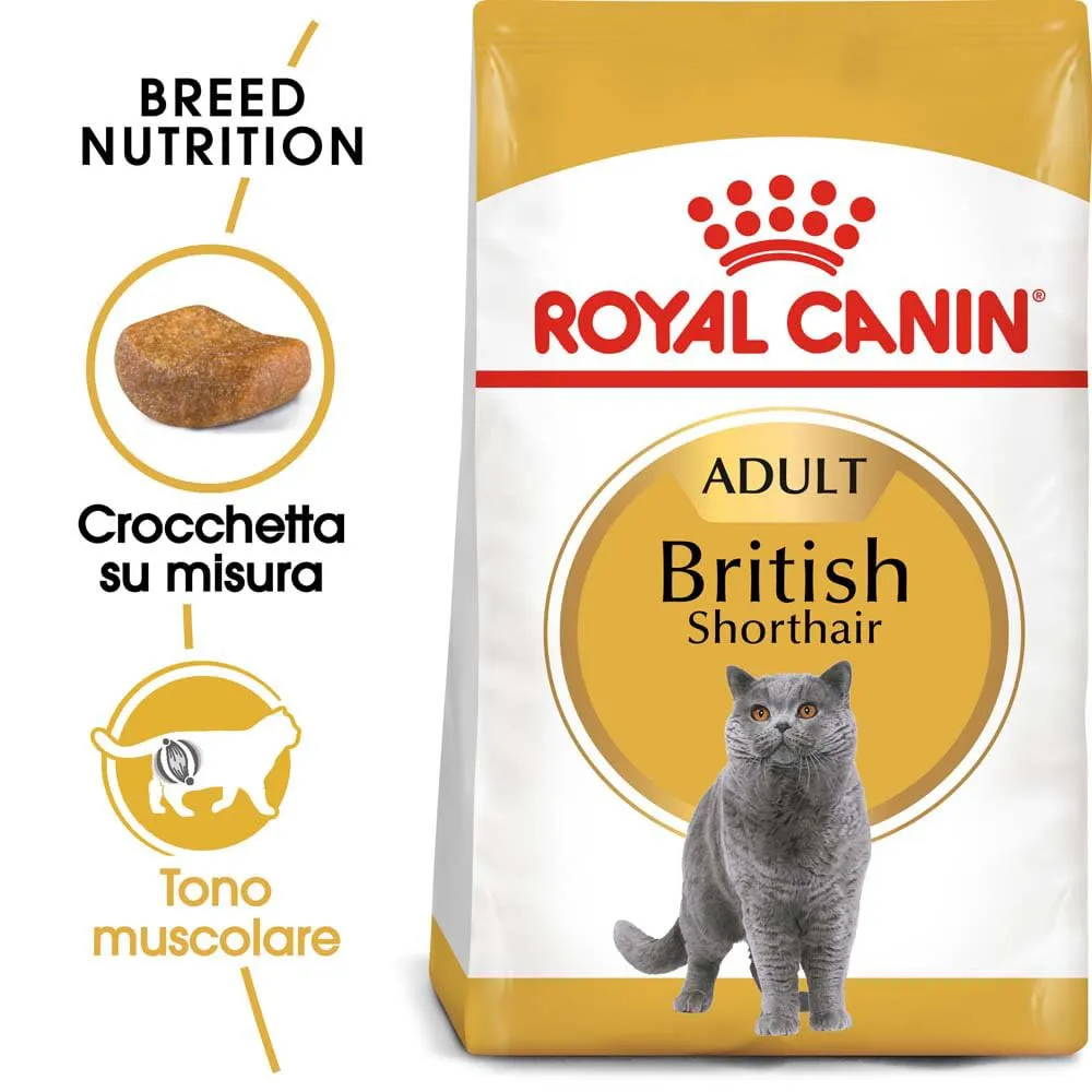 Royal Canin British Shorthair Adult Cibo secco per gatti 2kg - immagine 2