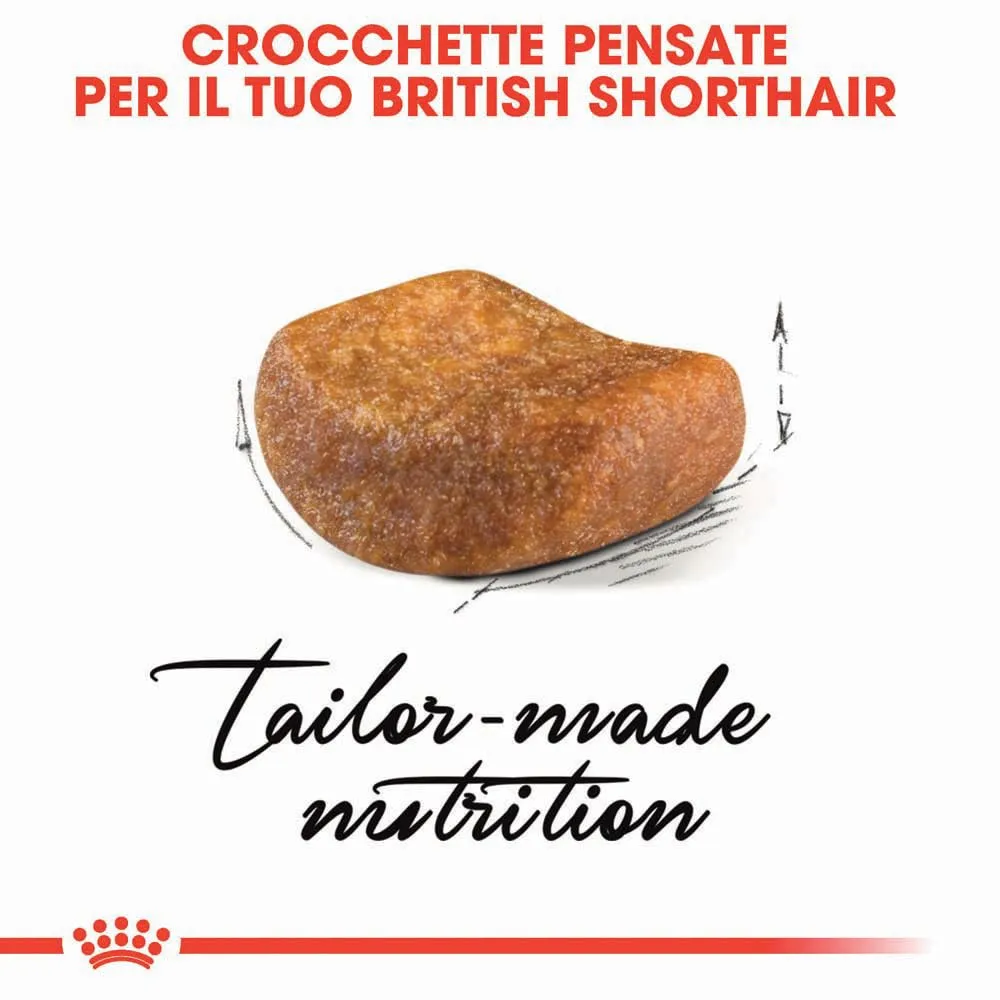 Royal Canin British Shorthair Adult Cibo secco per gatti 2kg - immagine 4