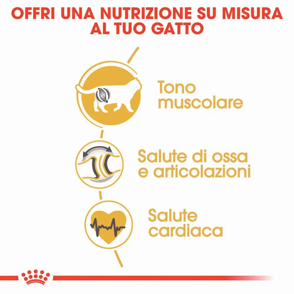 Royal Canin British Shorthair Adult Cibo secco per gatti 2kg - immagine 5