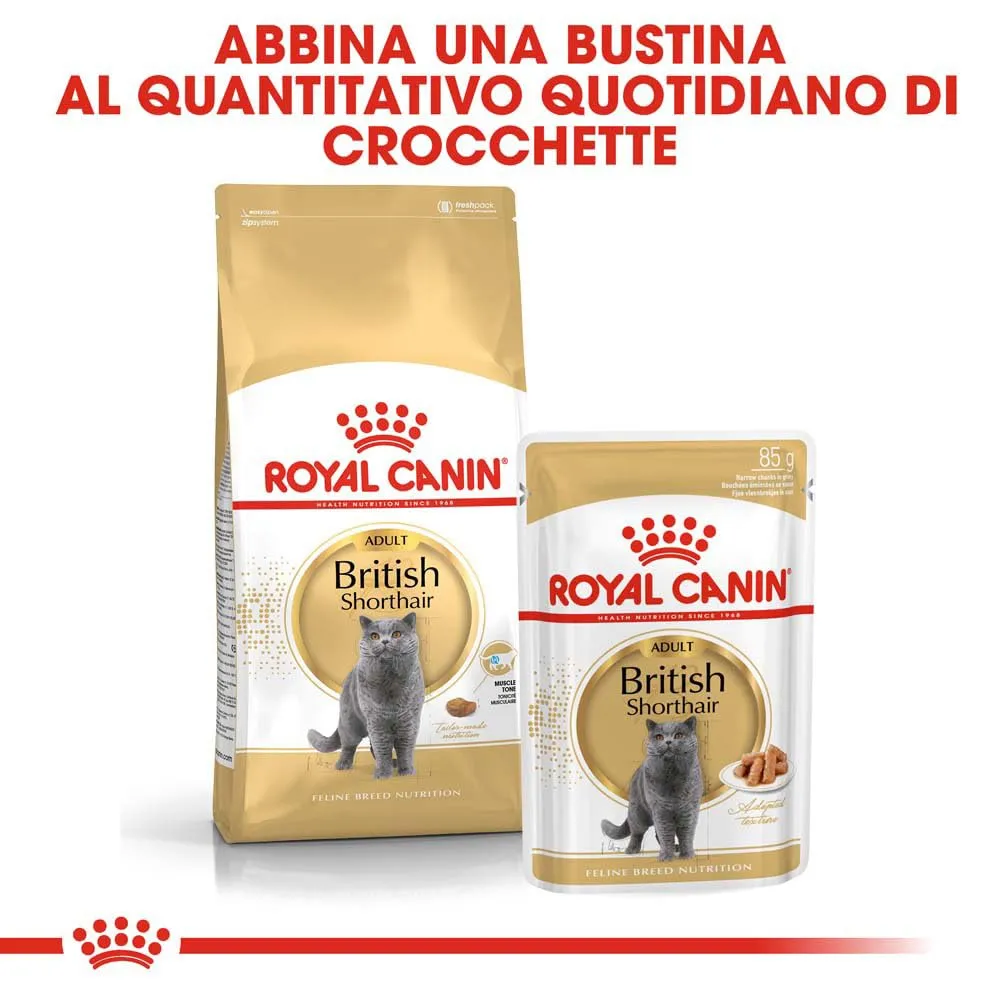 Royal Canin British Shorthair Adult Cibo secco per gatti 2kg - immagine 6
