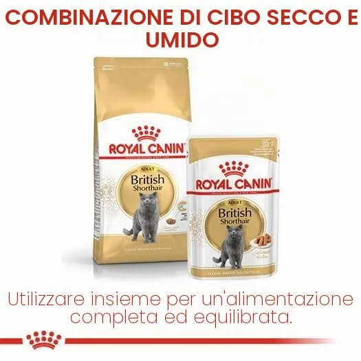 Royal Canin British Shorthair Adult Dry Cat Food, 10kg - immagine 5