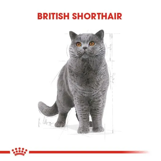 Royal Canin British Shorthair Adult Dry Cat Food, 10kg - immagine 6
