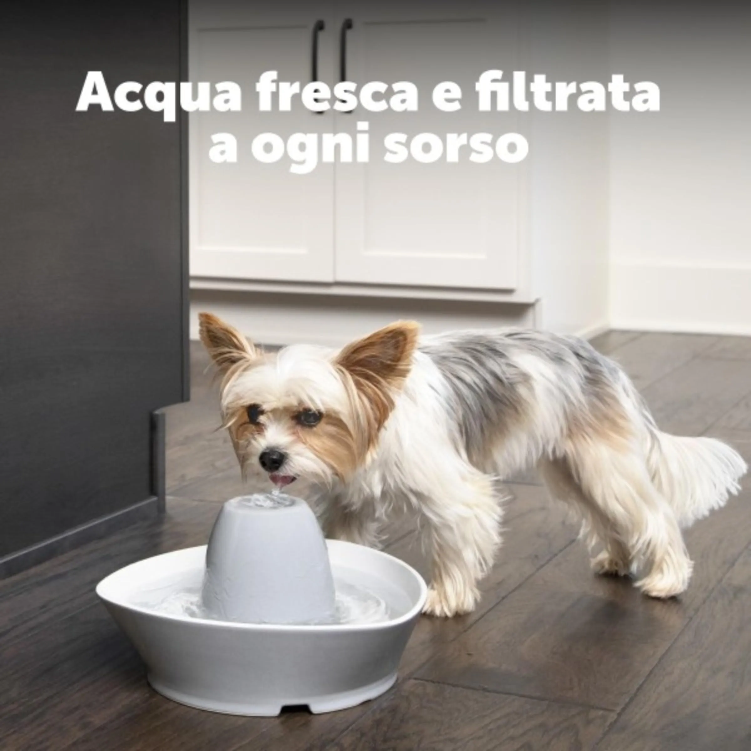 PetSafe PAC19-14088 Filtri a Carboni Attivi per Fontane Drinkwell in Ceramica, Confezione da 4 - immagine 3