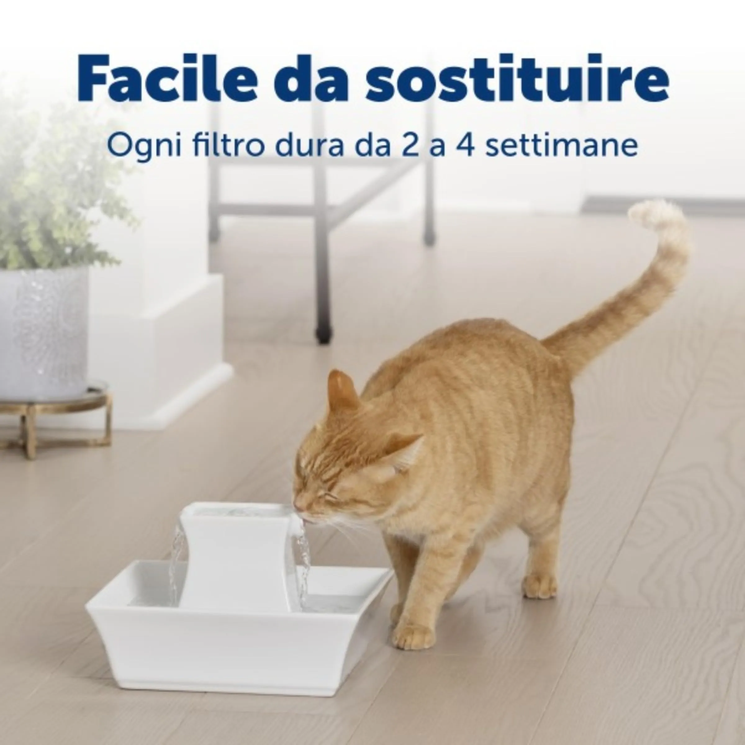 PetSafe PAC19-14088 Filtri a Carboni Attivi per Fontane Drinkwell in Ceramica, Confezione da 4 - immagine 6