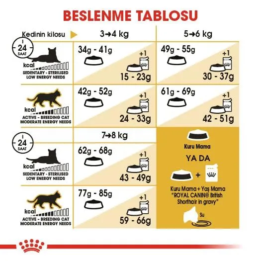 Royal Canin British Shorthair Adult Dry Cat Food, 400 g - immagine 7