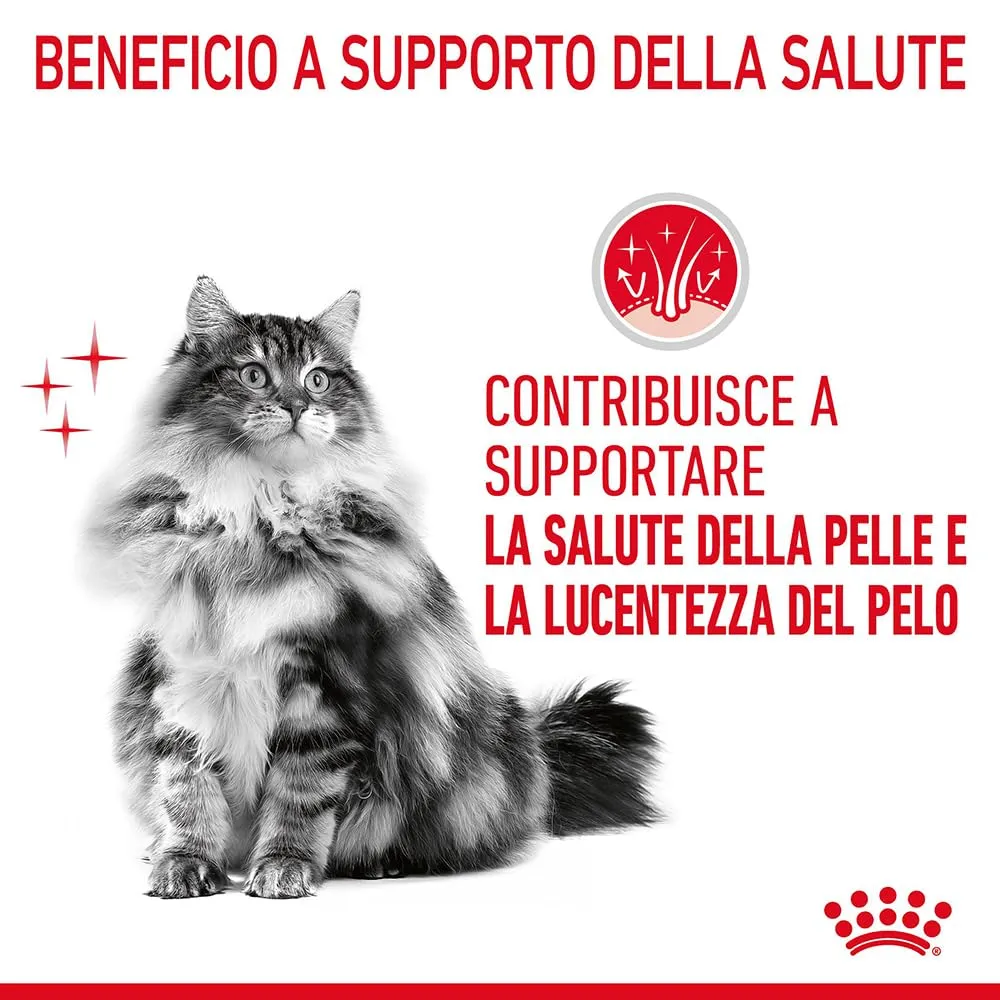 Royal Canin Hair & Skin Care Alimento Secco per Gatti, 4 kg - immagine 4