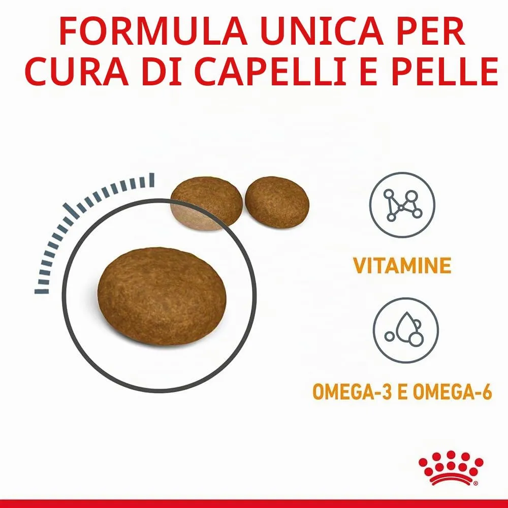 Royal Canin Hair & Skin Care Alimento Secco per Gatti, 4 kg - immagine 5