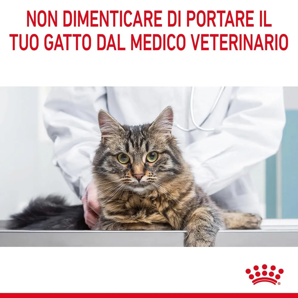 Royal Canin Hair & Skin Care Alimento Secco per Gatti, 4 kg - immagine 8