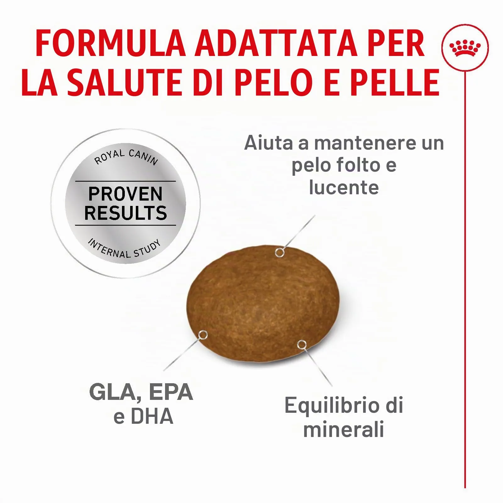Royal Canin Cat Food 400g - immagine 4