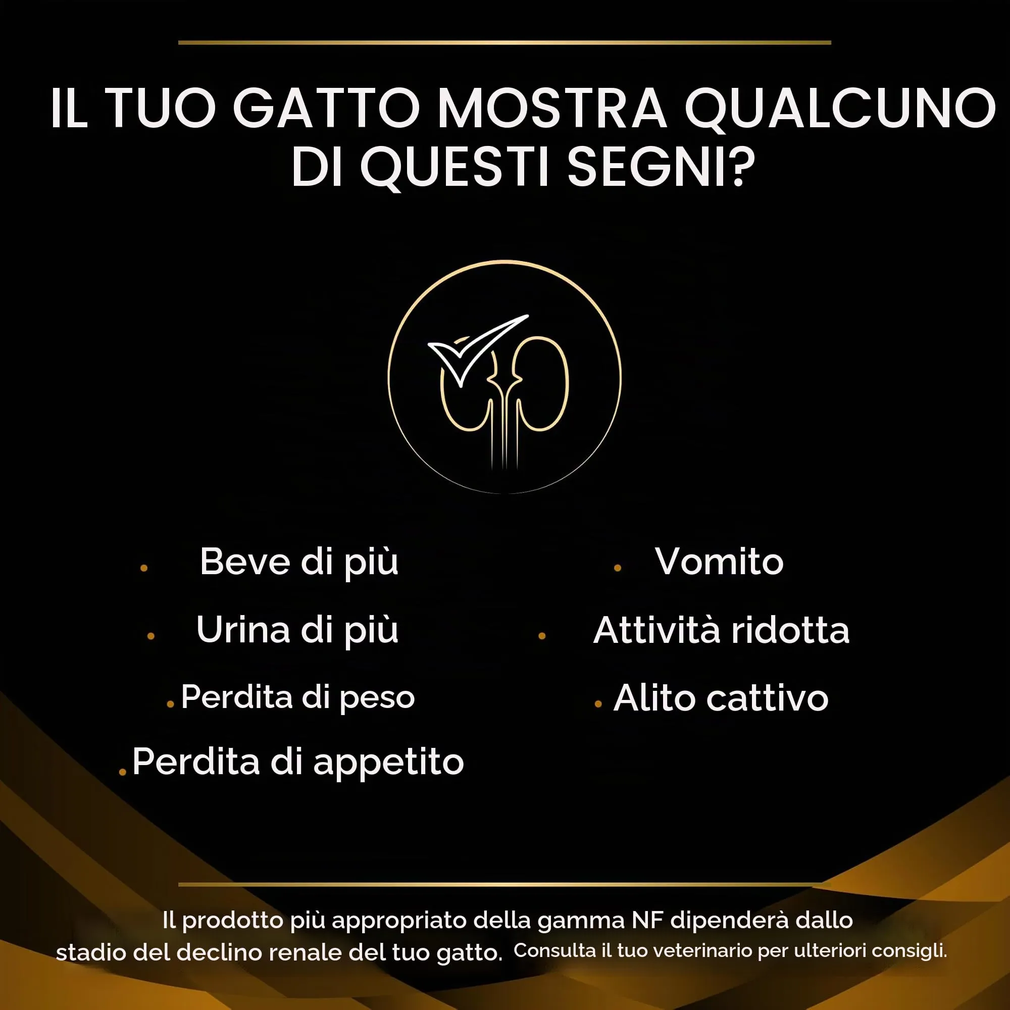 Purina Pro Plan Veterinary Diets Renal Function Early Care Cibo Umido per Gatti con Pollo, 40 Buste da 85g - immagine 3
