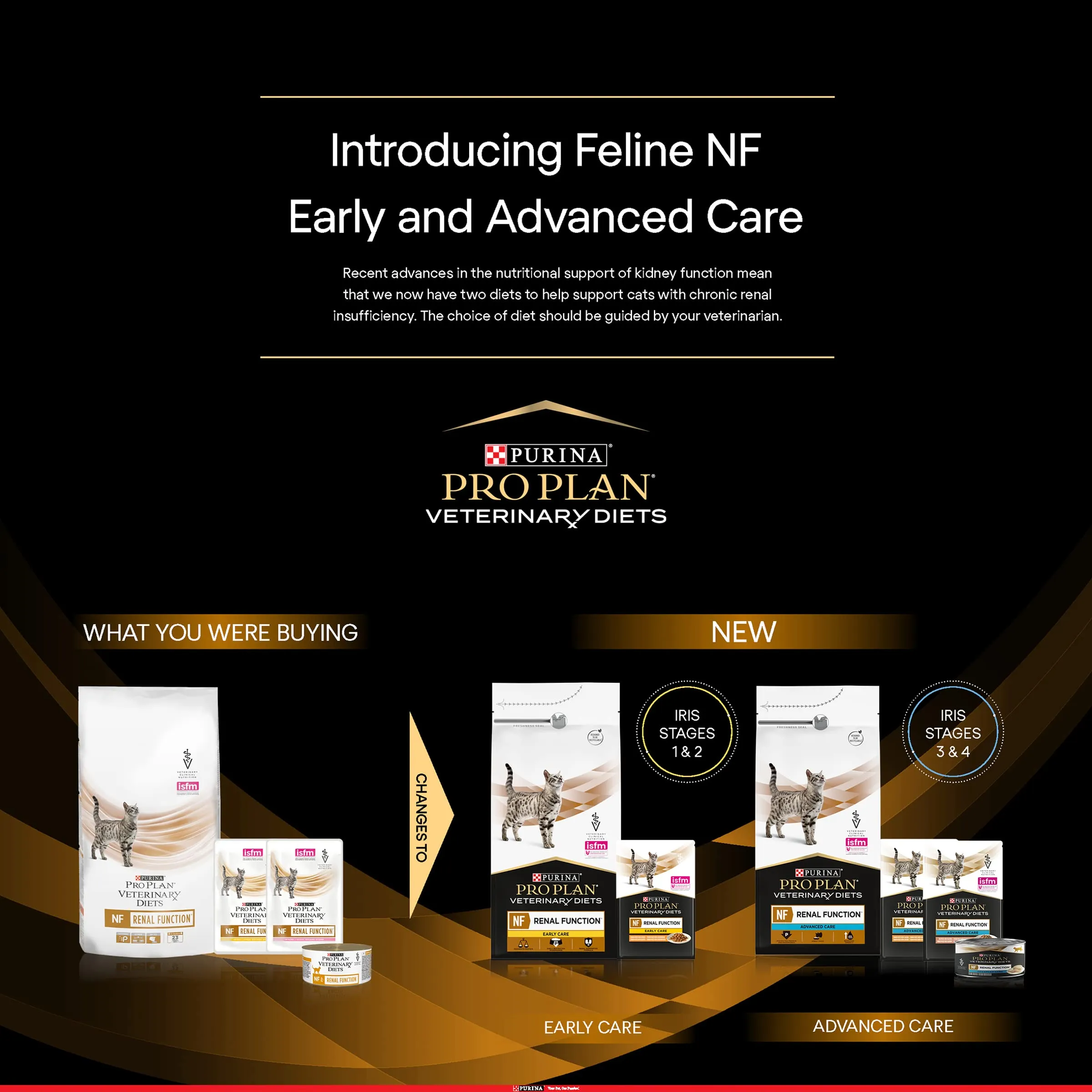 Pro Plan Veterinary Diets Feline NF Renal Function Salmon Pouch 10x85g - immagine 4