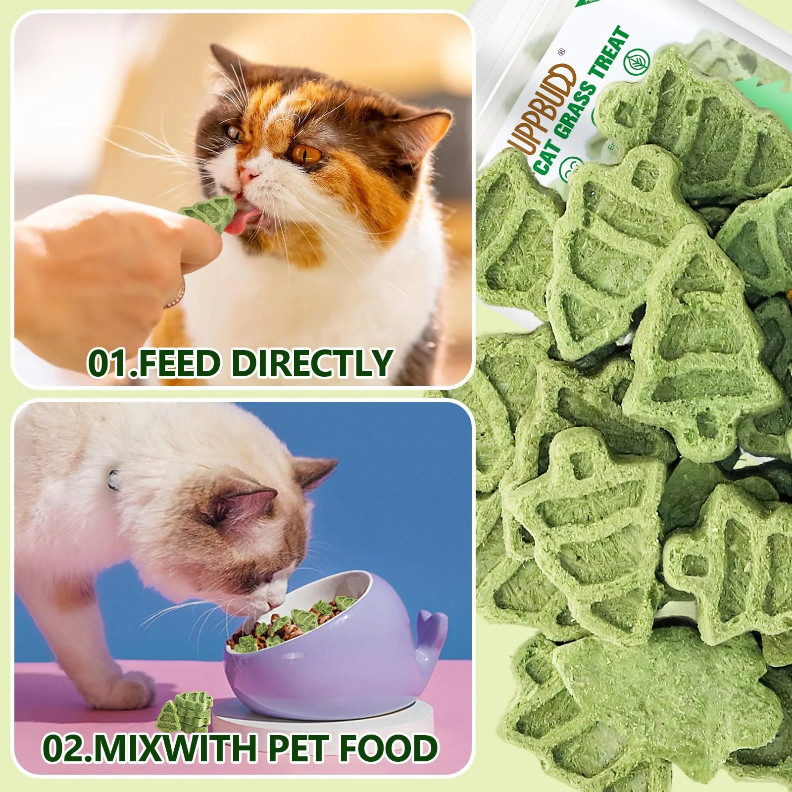 PUPPBUDD Bastoncini di Erba per Gatti Liofilizzati, Snack Dentale con Erba Gatta, 100g - immagine 5