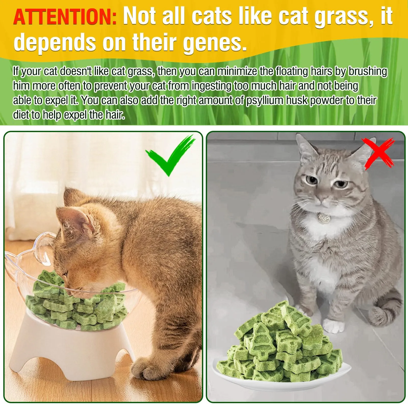 PUPPBUDD Bastoncini di Erba per Gatti Liofilizzati, Snack Dentale con Erba Gatta, 100g - immagine 6