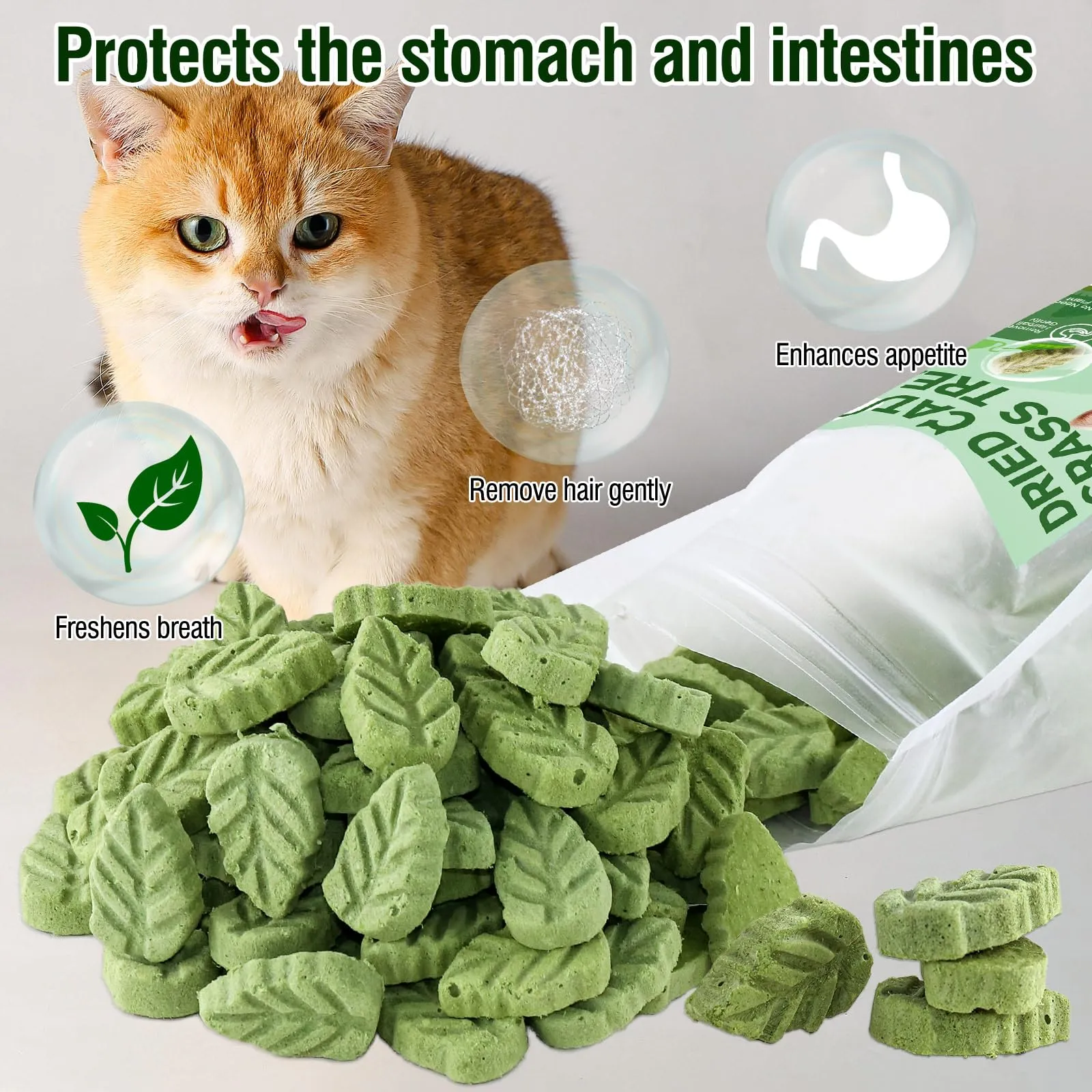 PUPPBUDD Bastoncini di Erba Gatta Liofilizzata per Gatti, Snack e Giocattolo Dentale, 100g - immagine 3