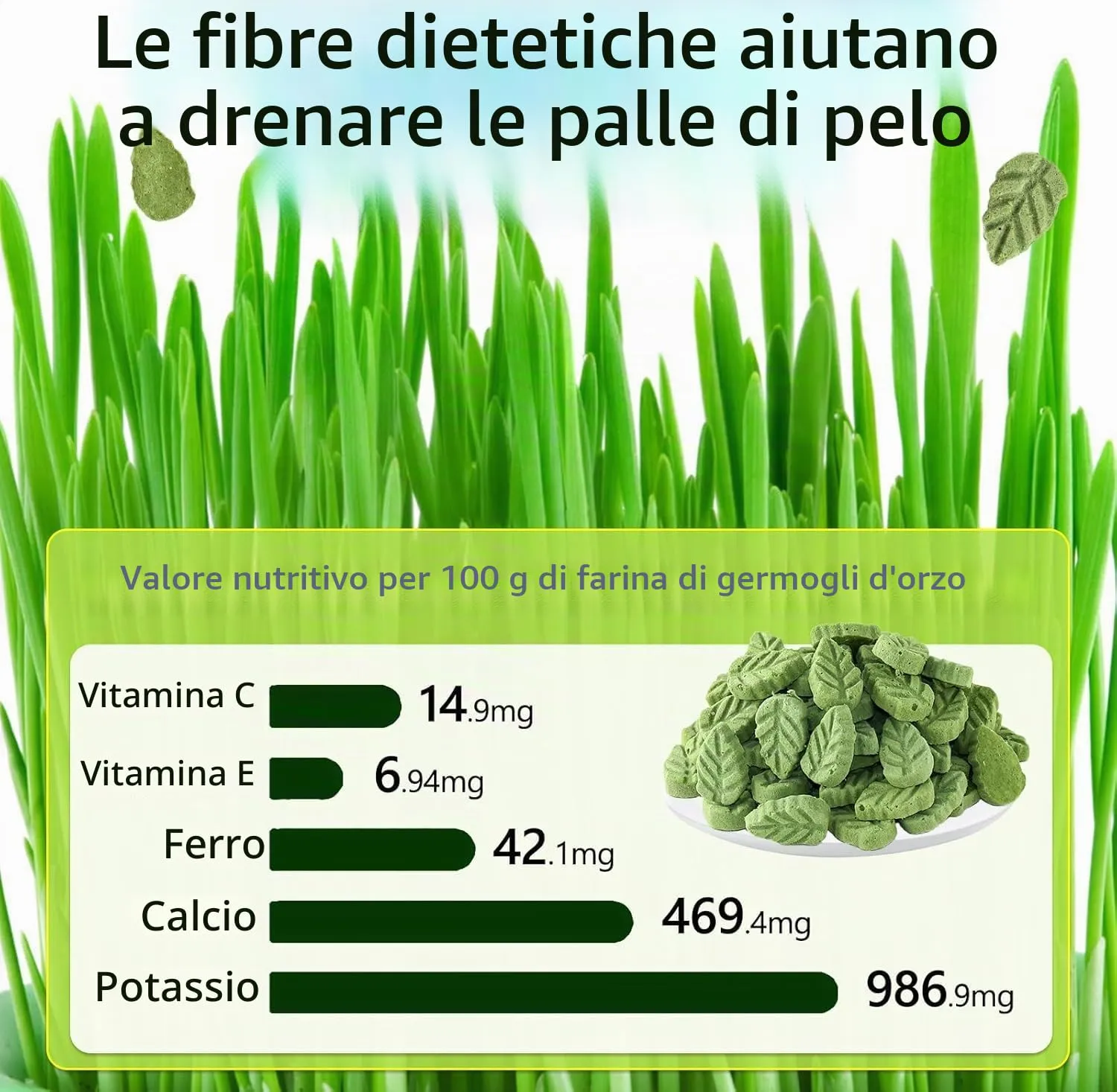 PUPPBUDD Bastoncini di Erba Gatta Liofilizzata per Gatti, Snack e Giocattolo Dentale, 100g - immagine 5