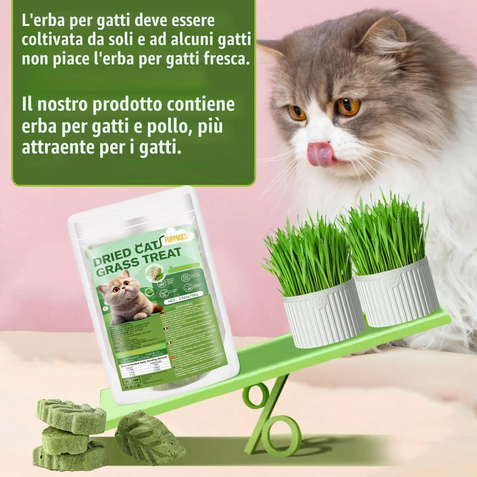 PUPPBUDD Bastoncini di Erba Gatta Liofilizzata per Gatti, Snack e Giocattolo Dentale, 100g - immagine 7