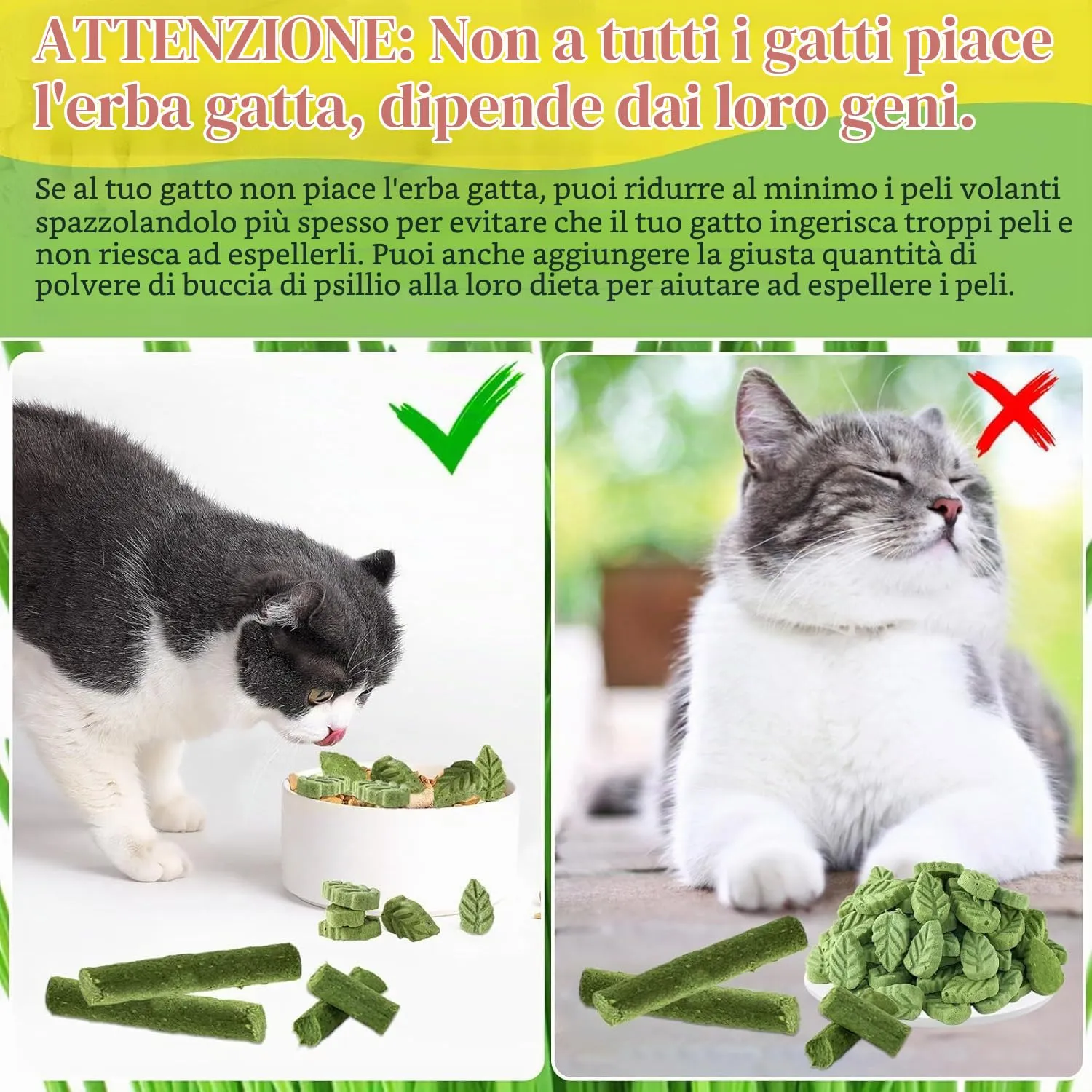 PUPPBUDD Bastoncini di Erba Gatta Liofilizzata per Gatti, Snack e Giocattolo Dentale, 100g - immagine 8