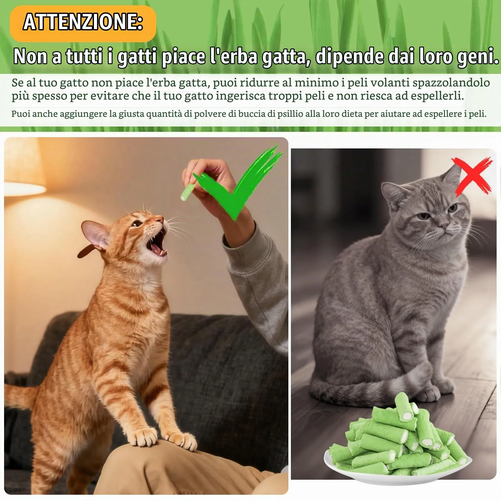PUPPBUDD Bastoncini di Erba e Pollo per Gatti, Snack Liofilizzato per la Pulizia dei Denti, 100g - immagine 7
