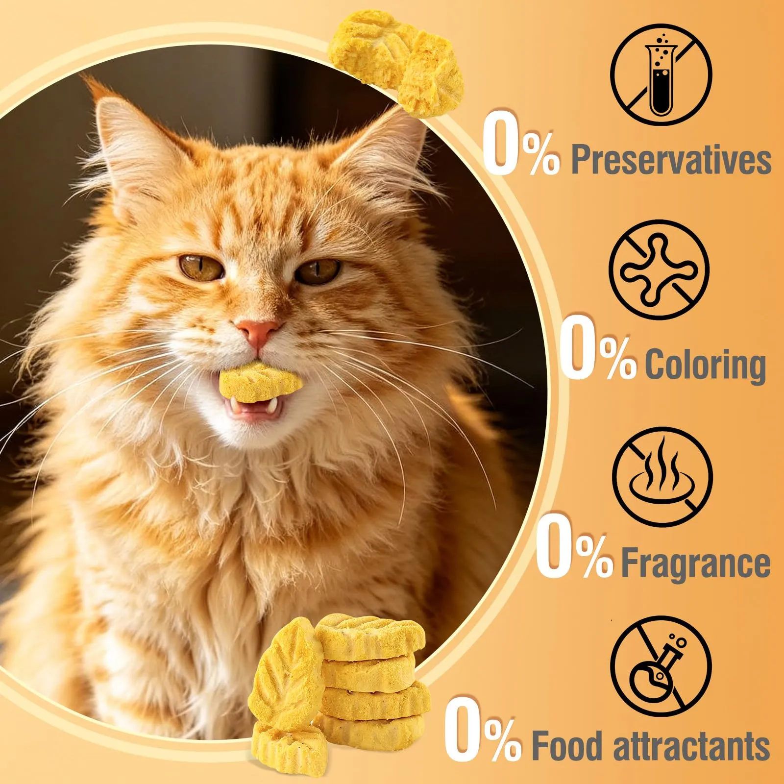 PUPPBUDD Snack Liofilizzato di Pollo e Zucca per Cani e Gatti, 50g - immagine 4