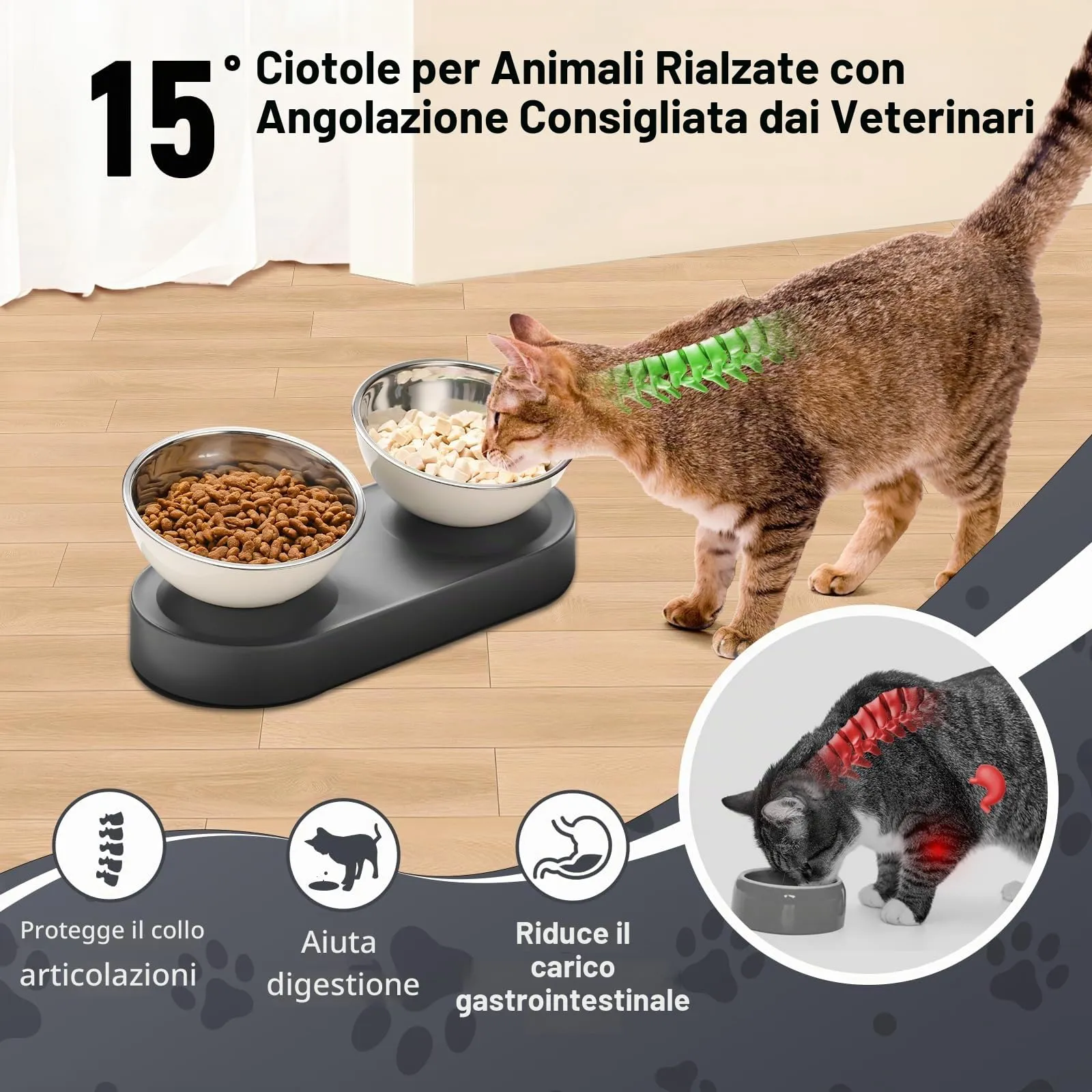 Marchul Ciotole per Gatti e Cani di Piccola Taglia in Acciaio Inox, Supporto Rialzato con Inclinazione a 15°, Doppia Ciotola per Cibo e Acqua - immagine 4