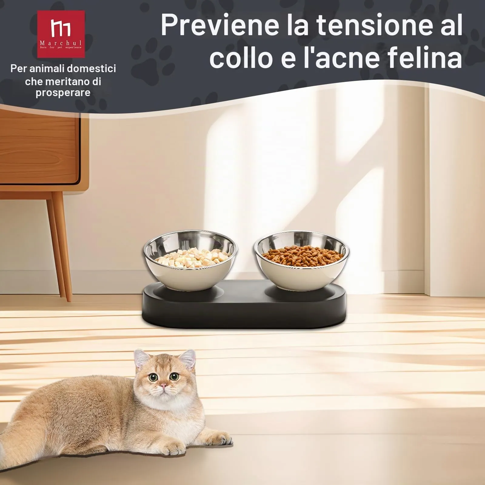 Marchul Ciotole per Gatti e Cani di Piccola Taglia in Acciaio Inox, Supporto Rialzato con Inclinazione a 15°, Doppia Ciotola per Cibo e Acqua - immagine 5