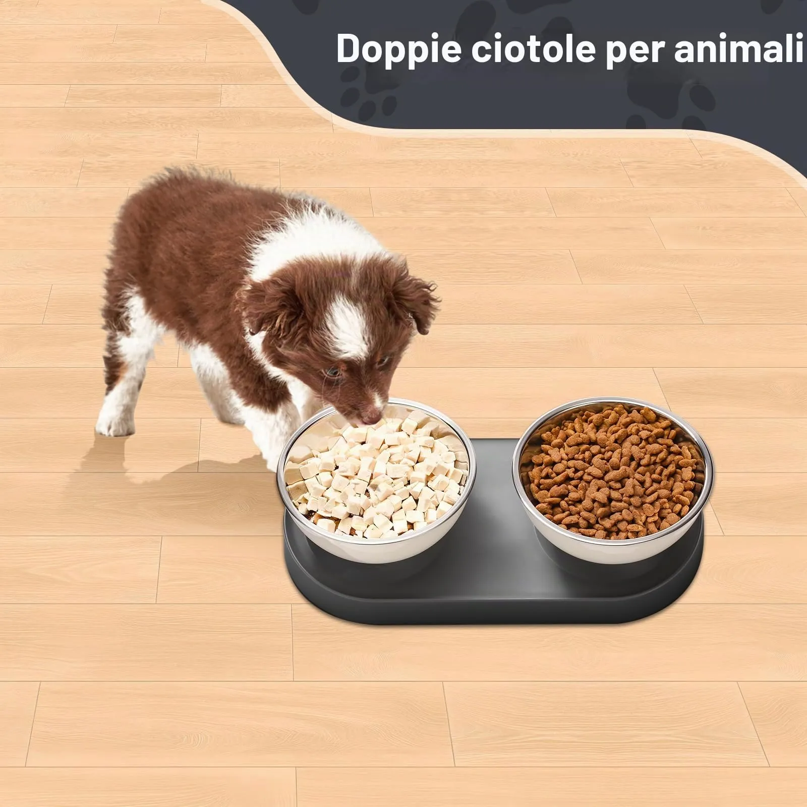 Marchul Ciotole per Gatti e Cani di Piccola Taglia in Acciaio Inox, Supporto Rialzato con Inclinazione a 15°, Doppia Ciotola per Cibo e Acqua - immagine 6