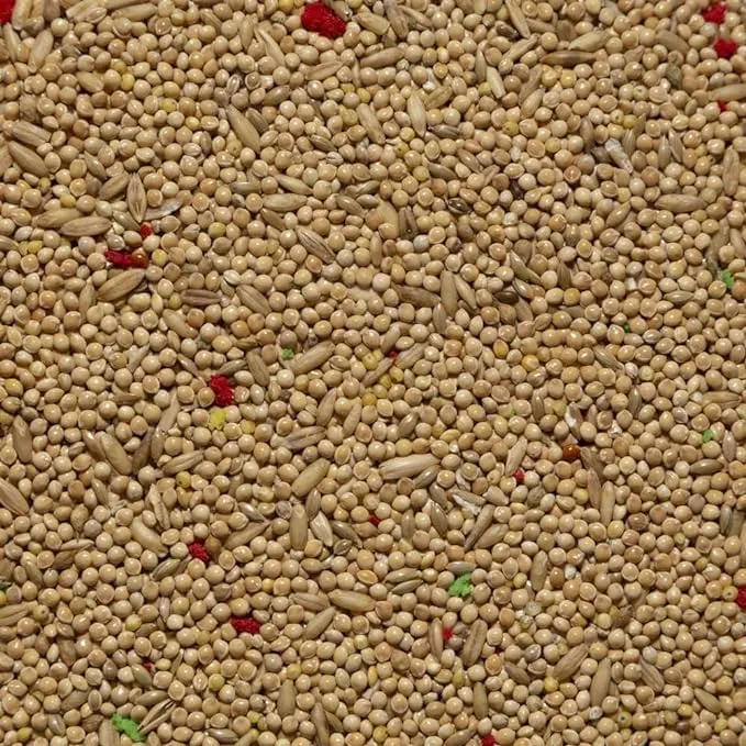 Il Contadino - Antichi Becchimi Miscuglio per Pappagalli e Cocorite, 1 kg - immagine 1