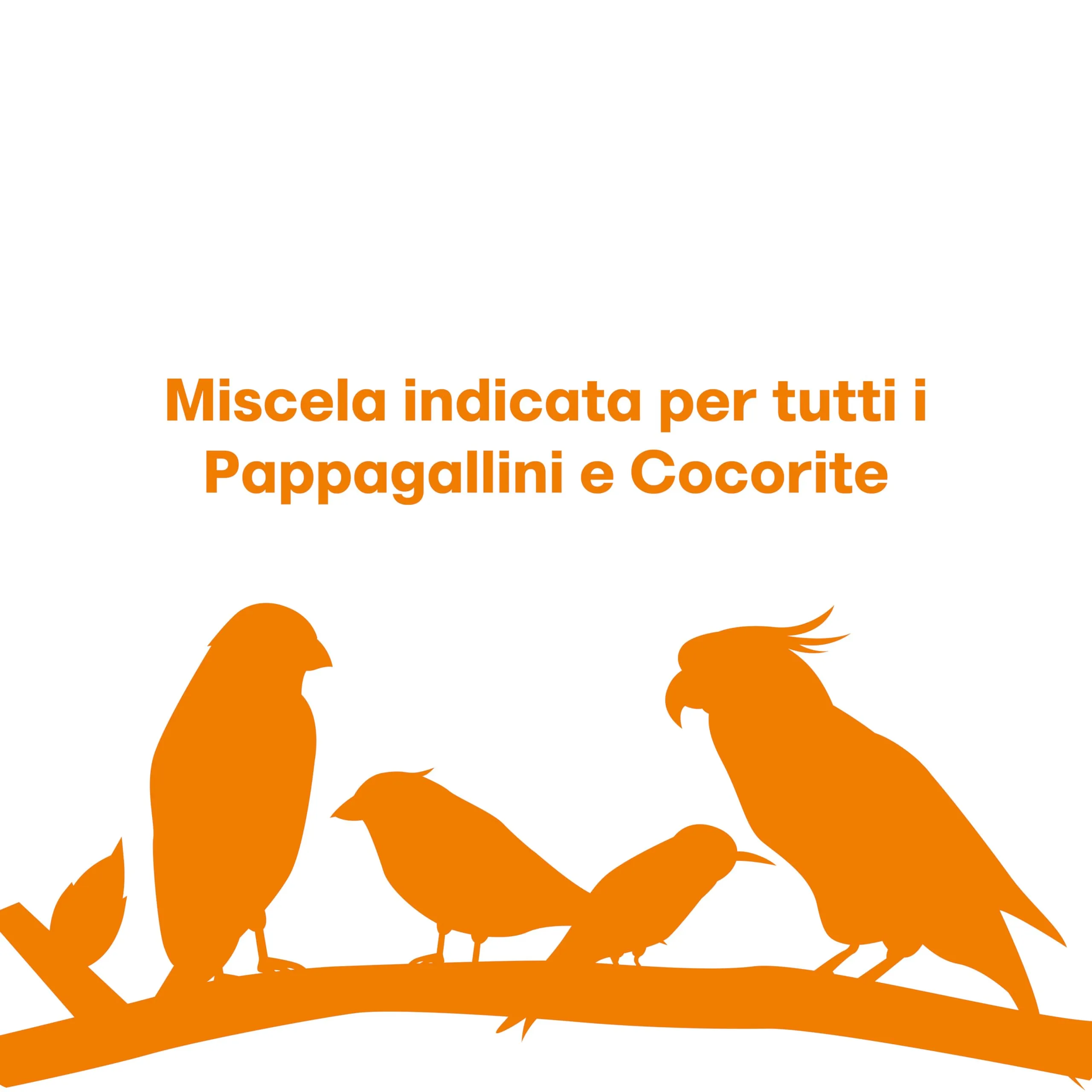 Il Contadino - Antichi Becchimi Miscuglio per Pappagalli e Cocorite, 1 kg - immagine 5