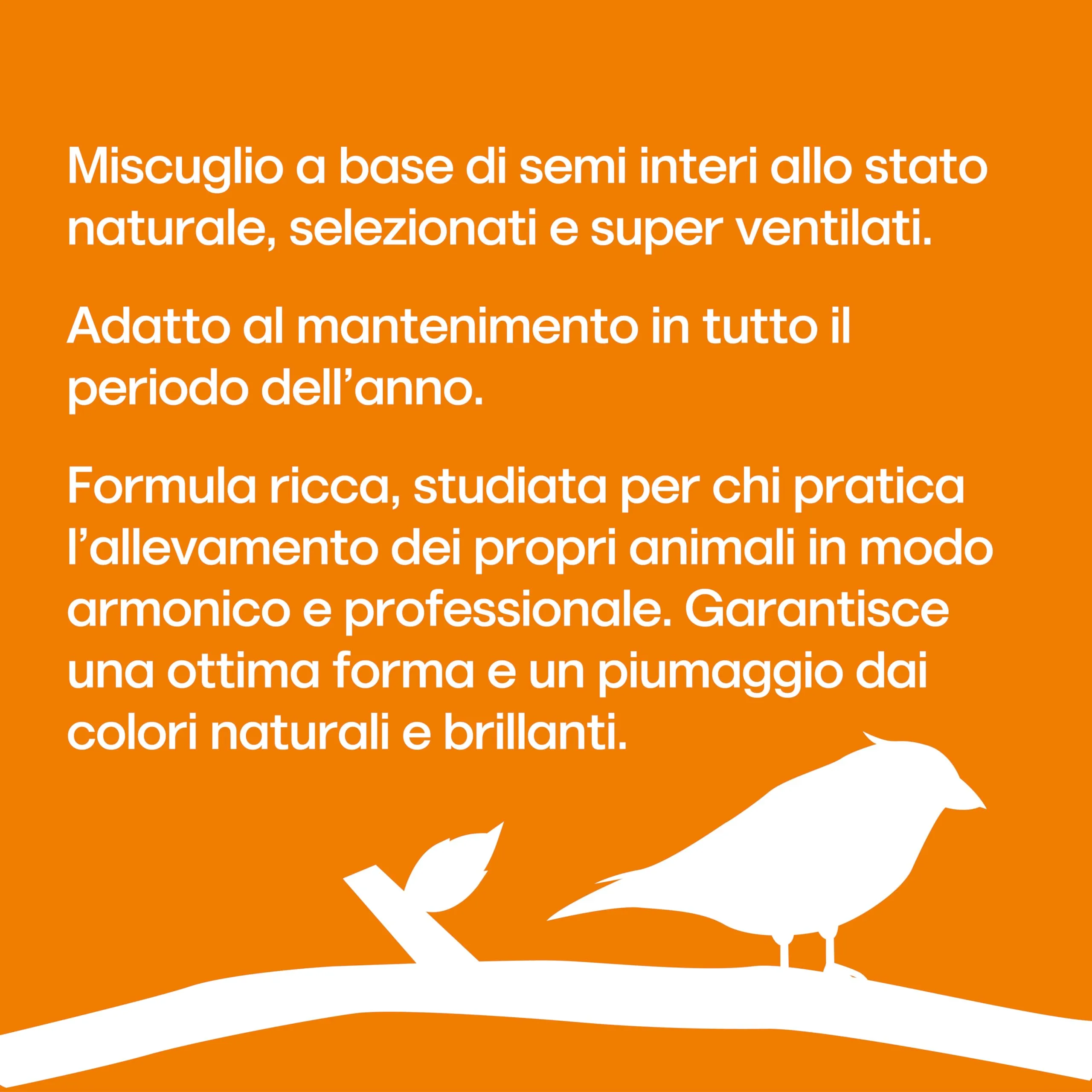Il Contadino - Antichi Becchimi Miscuglio per Pappagalli e Cocorite, 20 kg - immagine 2