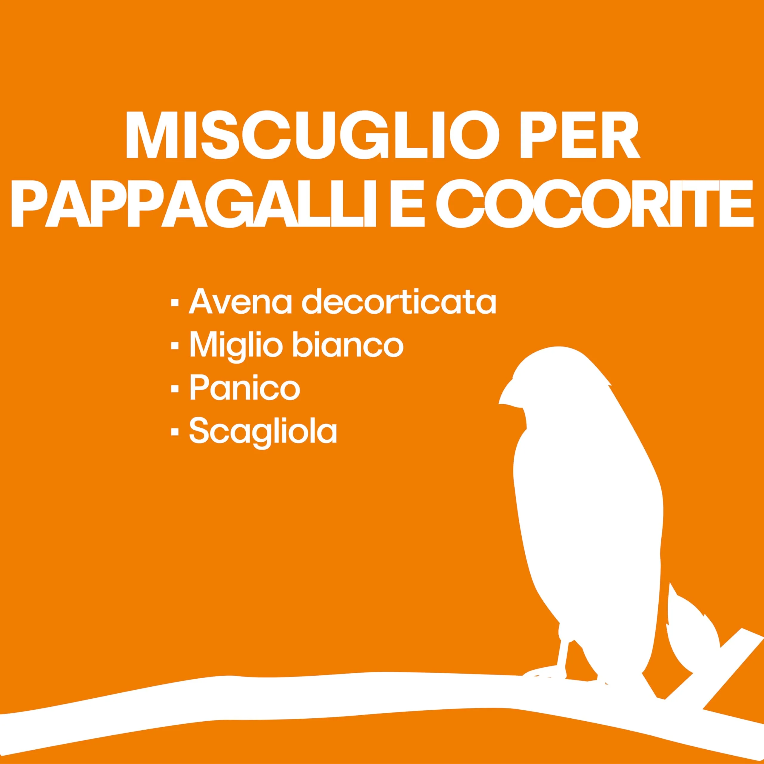 Il Contadino - Antichi Becchimi Miscuglio per Pappagalli e Cocorite, 5 kg - immagine 4